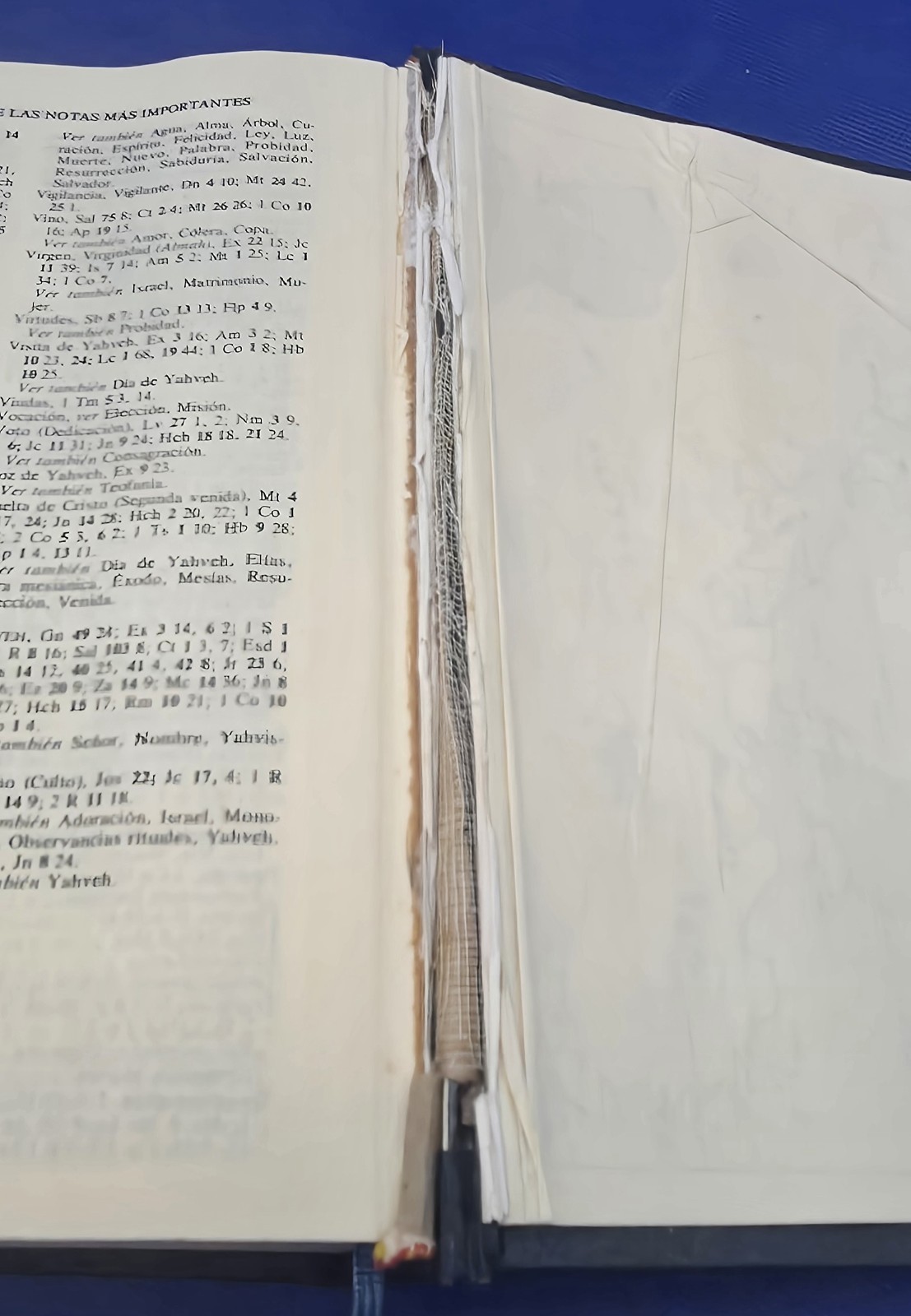 1984 Biblia De Jerusalen Nueva Edicion Totalmente Revisada Y Aumentada