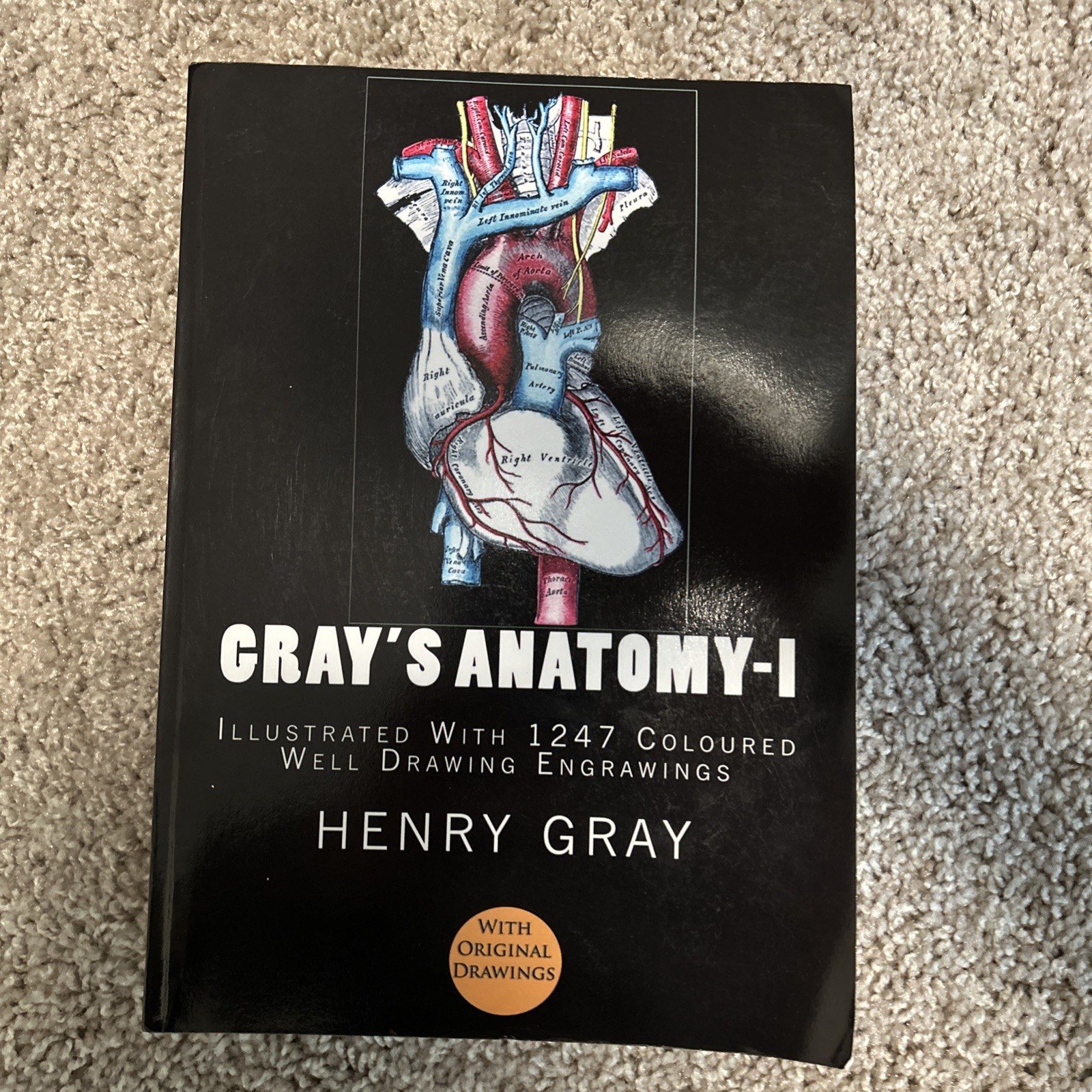 Gray&rsquo;s Anatomy: Illustrated with 1247 Colored Well Drawing Engrawings by Gray
