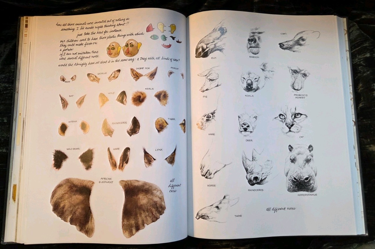 NOAH&rsquo;S ARK Animal Art by Rien Poortvliet 1986
