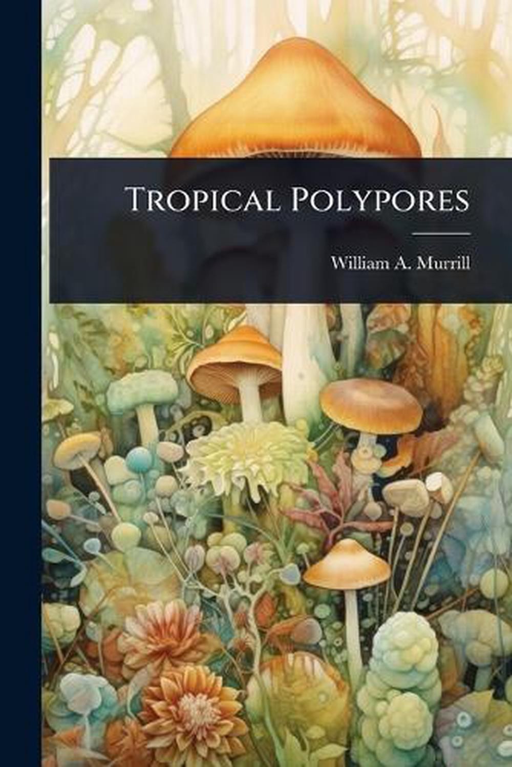 Tropical Polypores by William A. Murrill Paperback Book