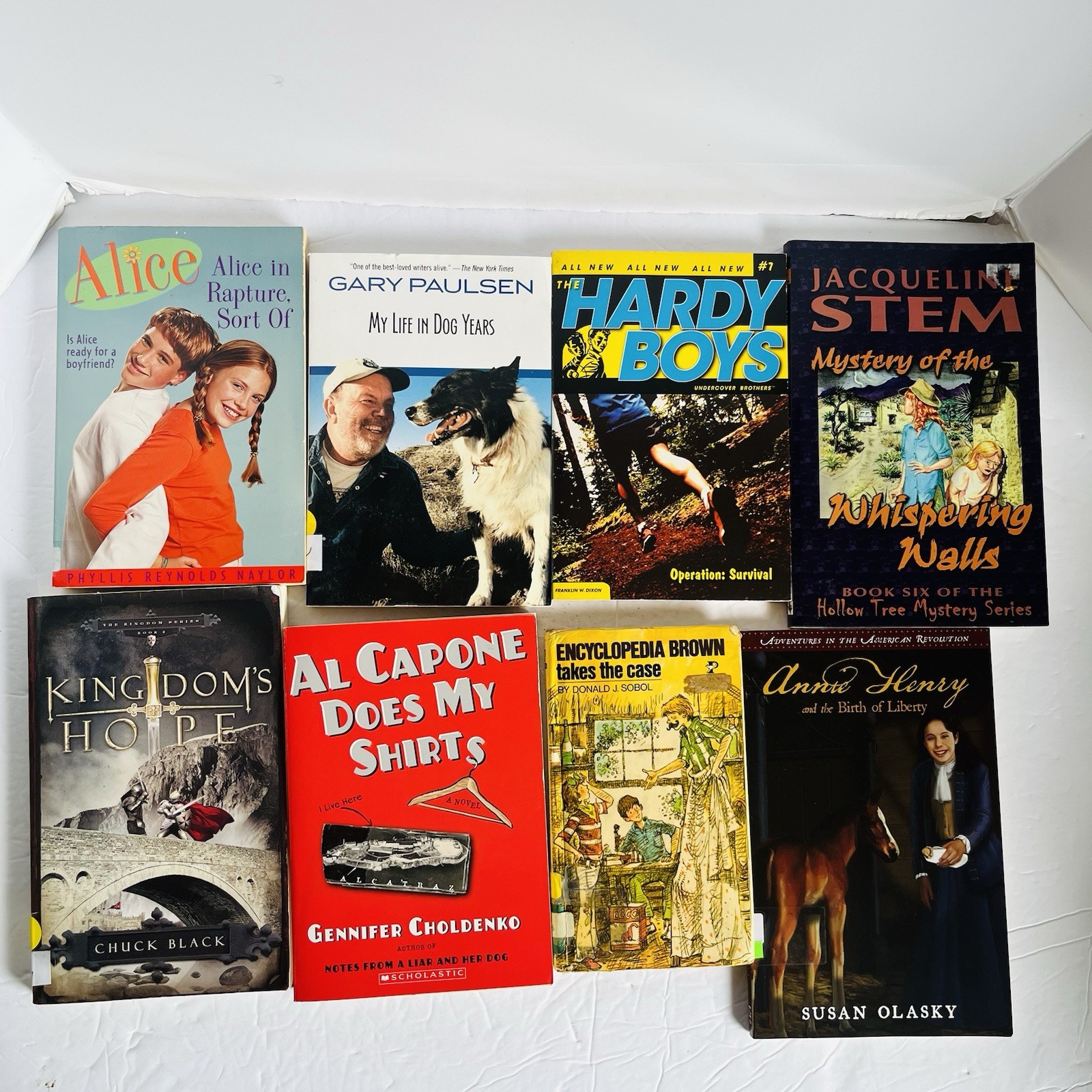 Lot of 10 Random 4th grade Children&rsquo;s Kids Chapter Book Some series Elementary