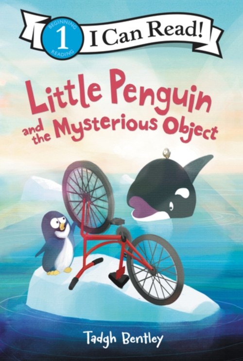 Little Penguin and the Mysterious Object Paperback Tadgh Bentley