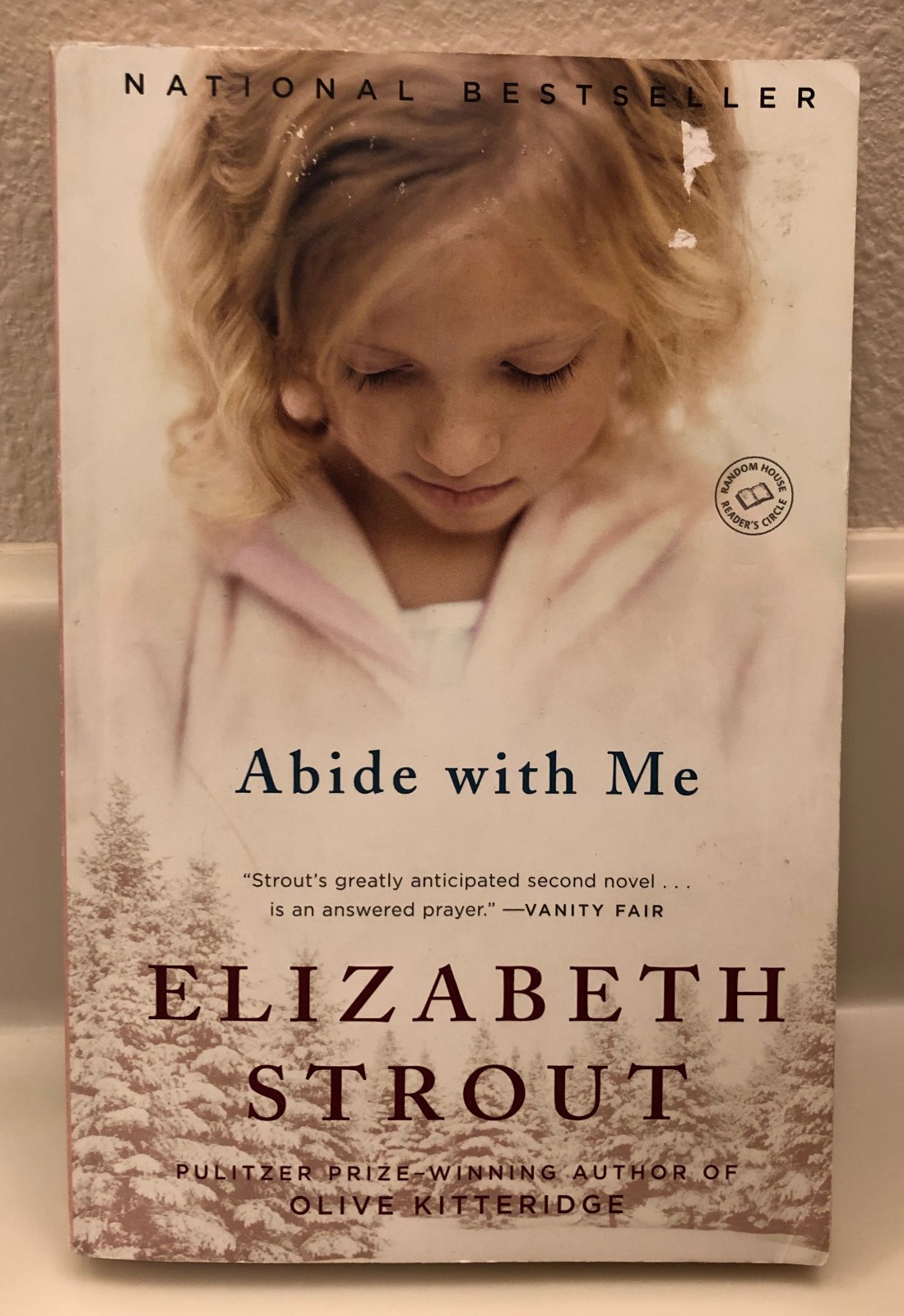 Abide with Me, Elizabeth Strout Loss, faith, fallibility « Good » w flaw trade PB
