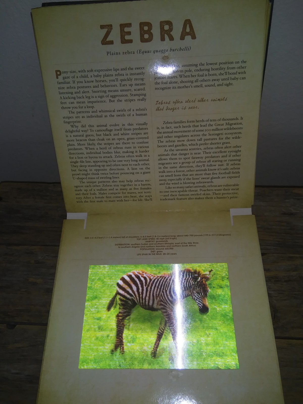Safari: A Photicular Book – 3D Moving Pics of African Animals Educational Guide
