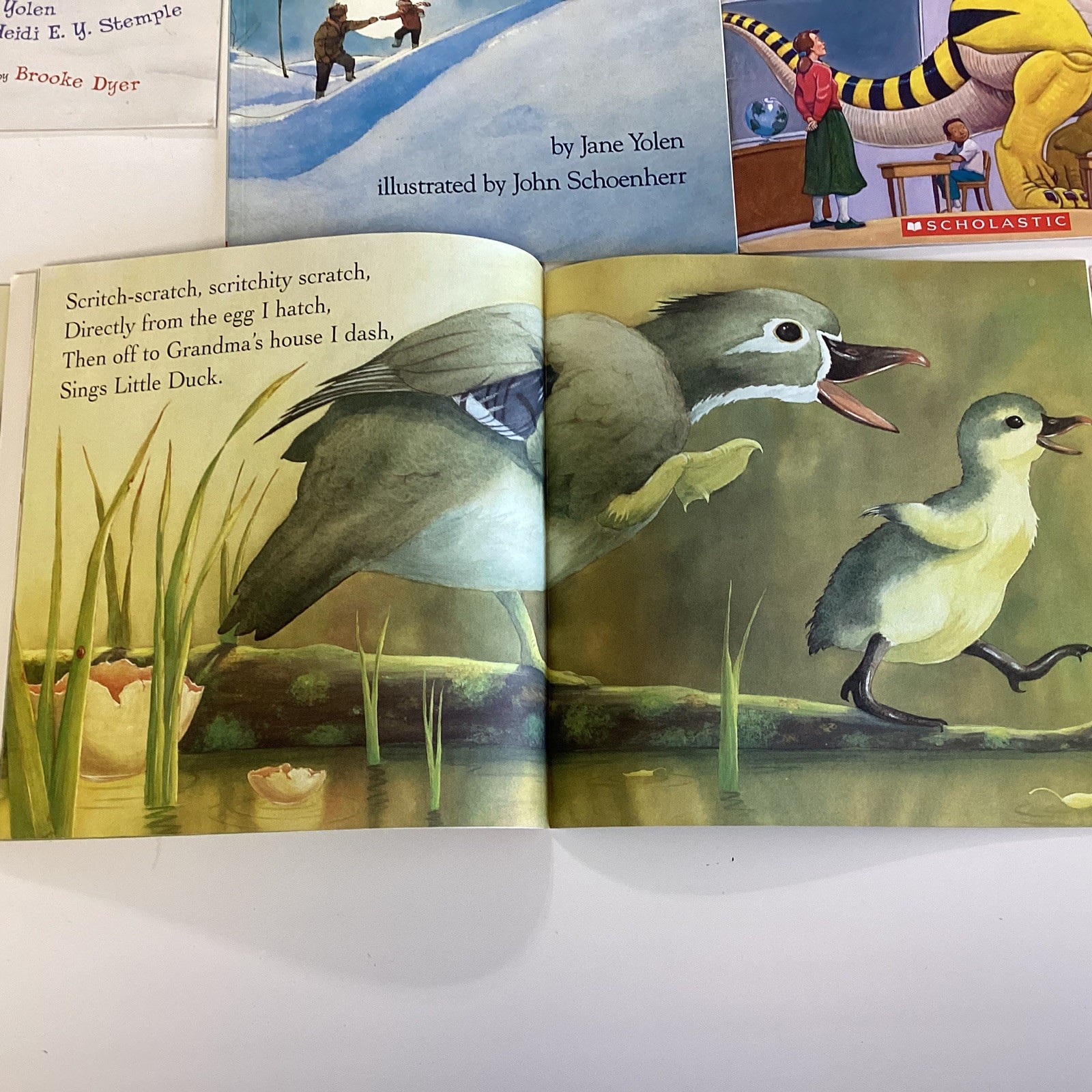 Jane Yolen Preschool Kindergarten 1st Grade Picture Children&rsquo;s Story 11 Book Lot