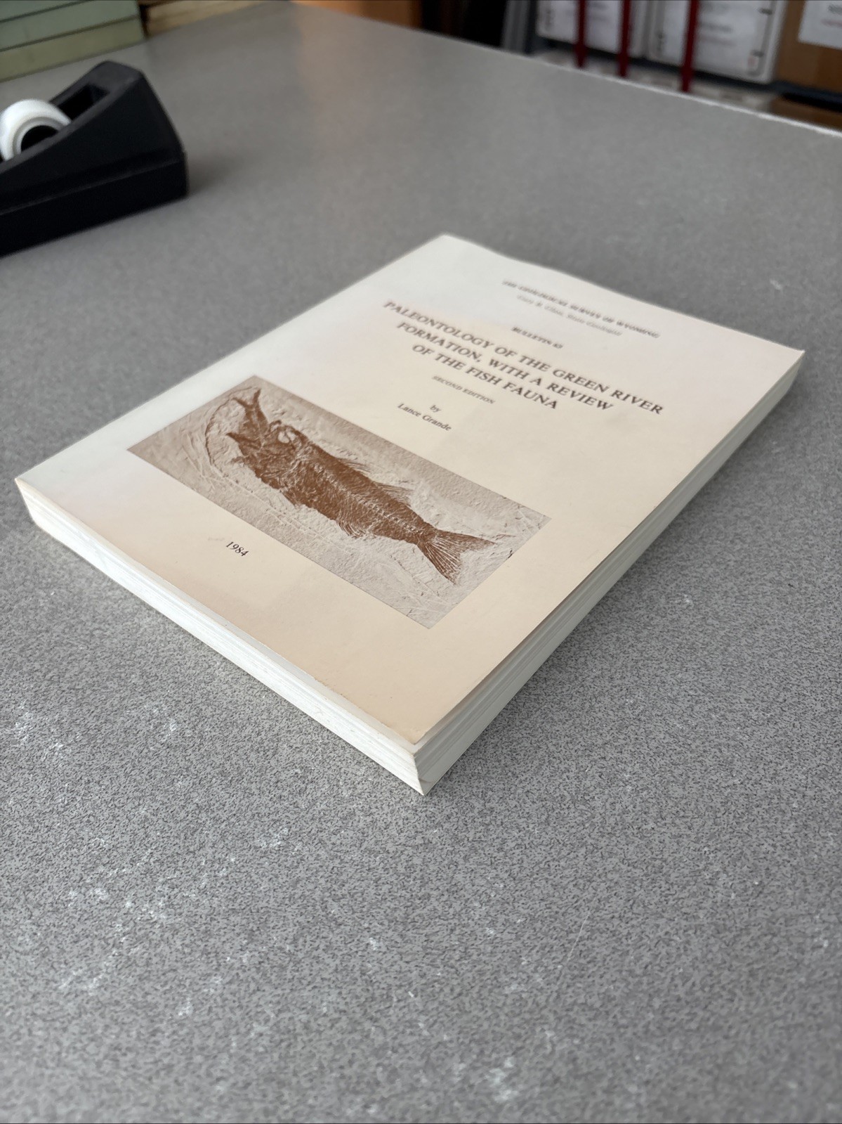 Paleontology of the Green River Formation with Review of the Fish Fauna 2nd Ed