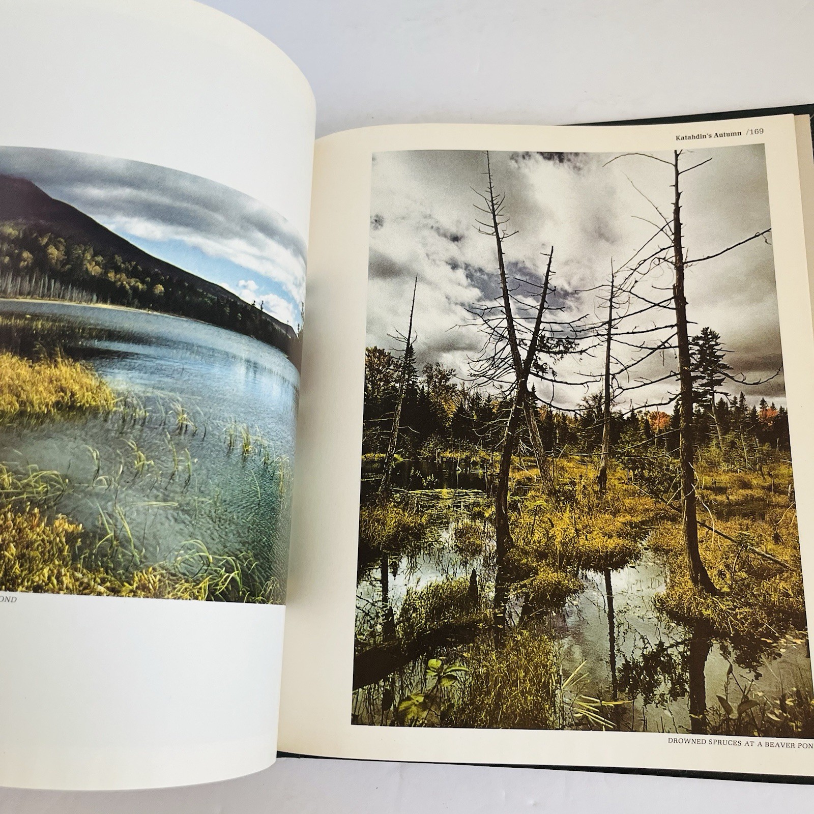 Vintage « The American Wilderness » Time Life Books Collection 1973 Lot of 7