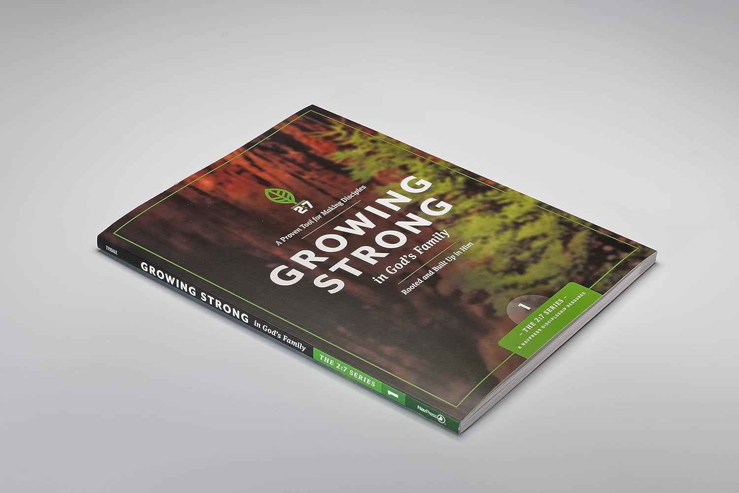 Growing Strong in God&rsquo;S Family: Rooted and Built up in Him (The 2:7 Series)