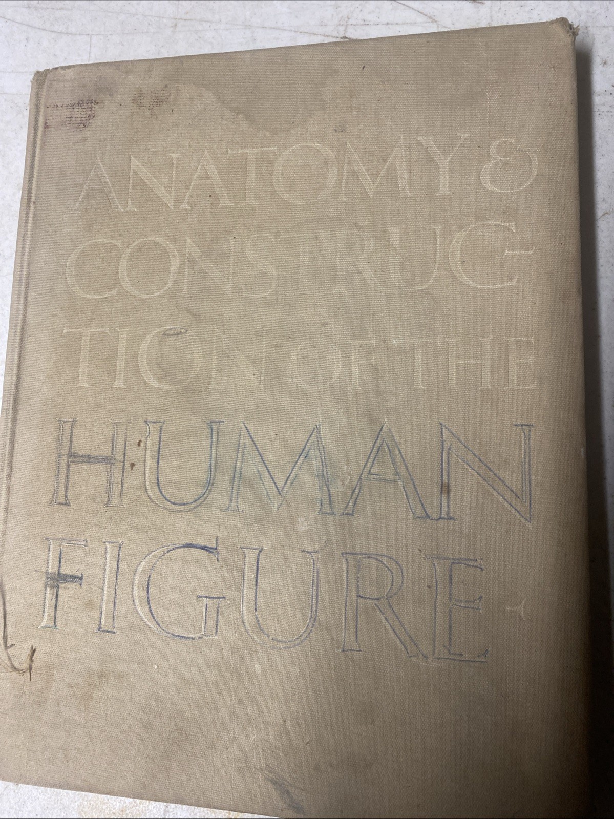 Anatomy and Construction of the Human Figure Perfect Charles Earl 1949