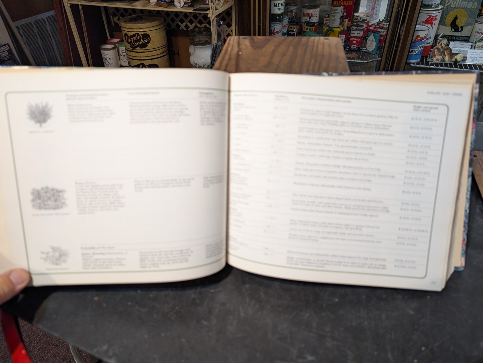 Original 1978 Reader&rsquo;s Digest Illustrated Guide To Gardening 672 Pages