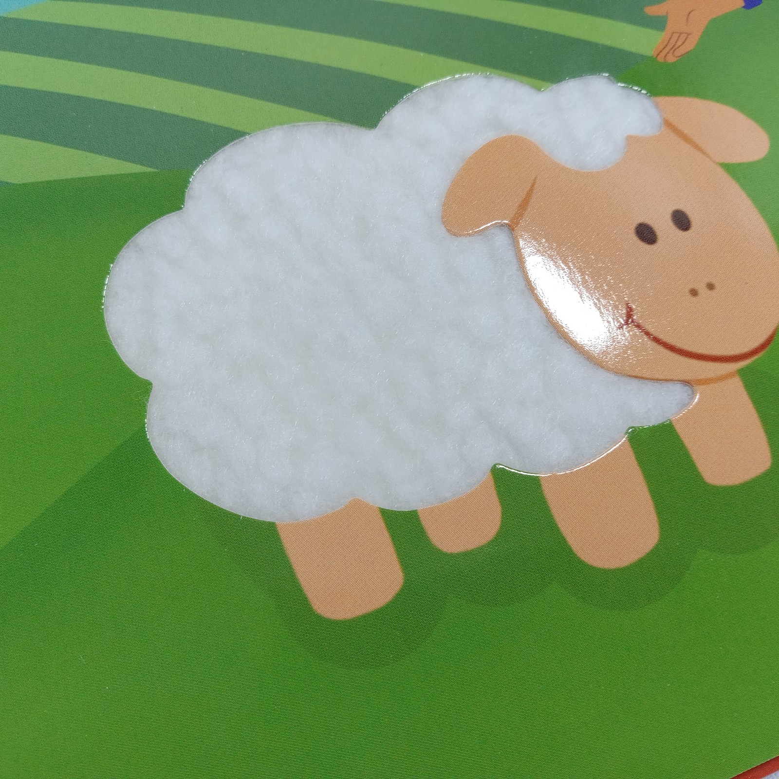 Blue&rsquo;s Clues & You! First Look & Find + Farm Day Touch-and-Feel Book Set