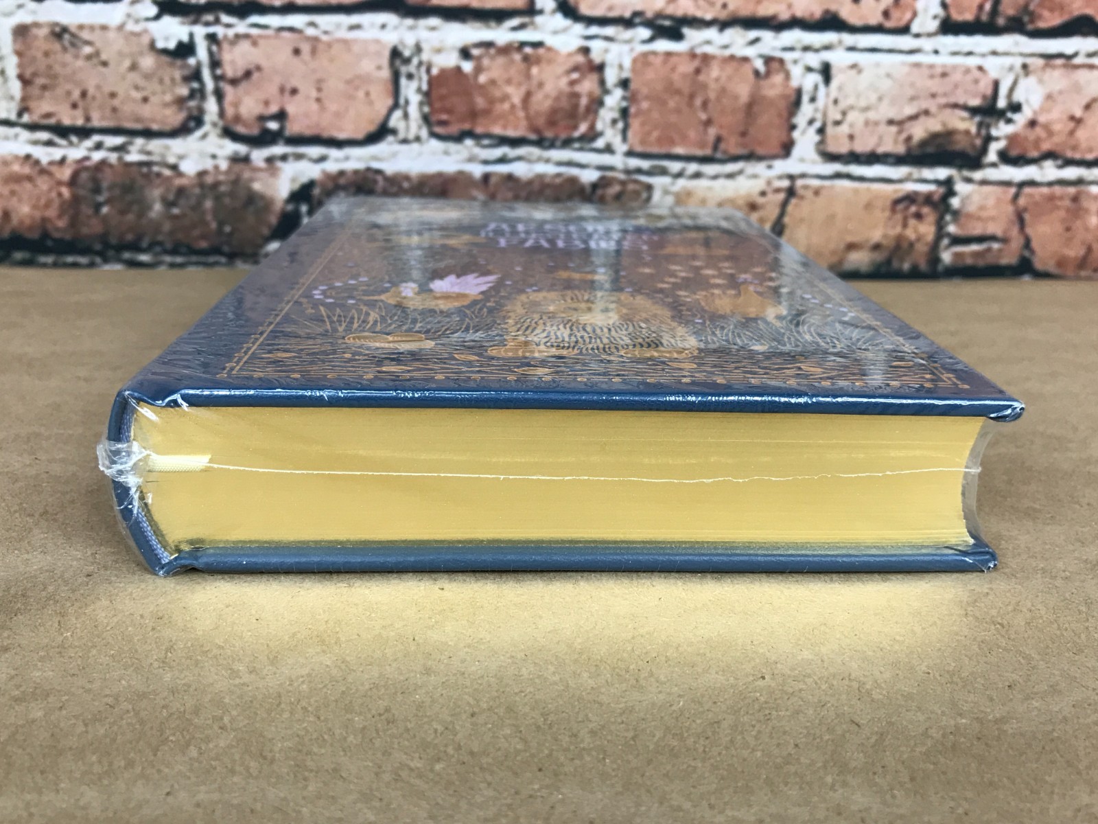AESOP&rsquo;S ILLUSTRATED FABLES by Aesop Leather Bound Collectible NEW