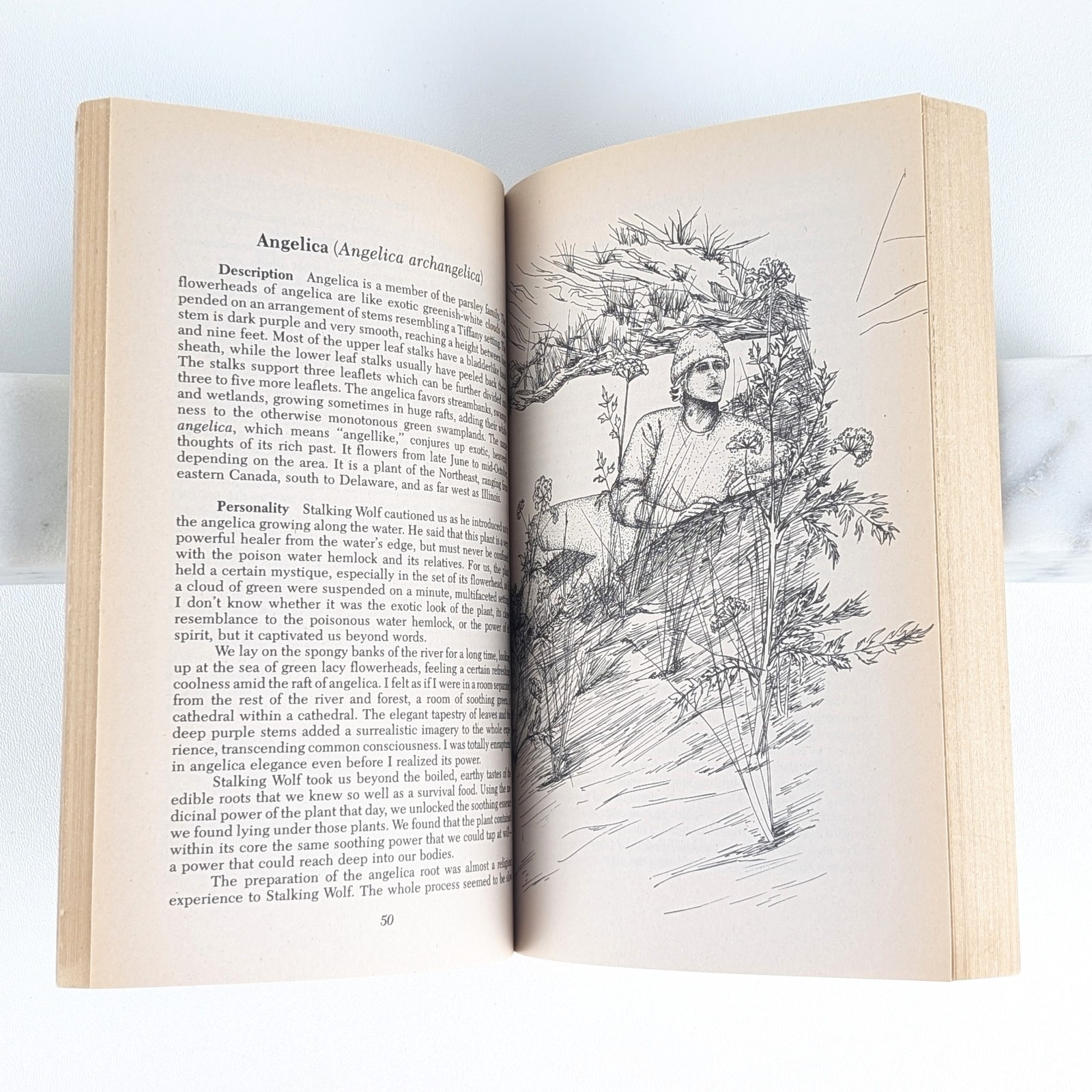 TOM BROWN&rsquo;S GUIDE TO WILD EDIBLE AND MEDICINAL PLANTS by Tom Brown Jr. – 1985 PB