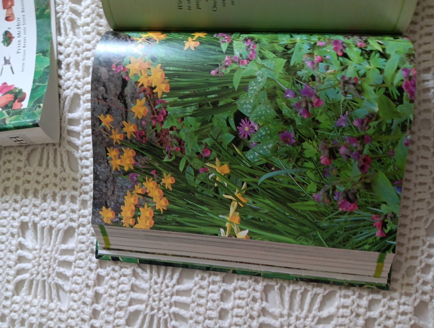 THE COMPLETE BOOK OF PRACTICAL GARDENING Peter McHoy 2001 512 Pages 12×9&Prime; HC DJ
