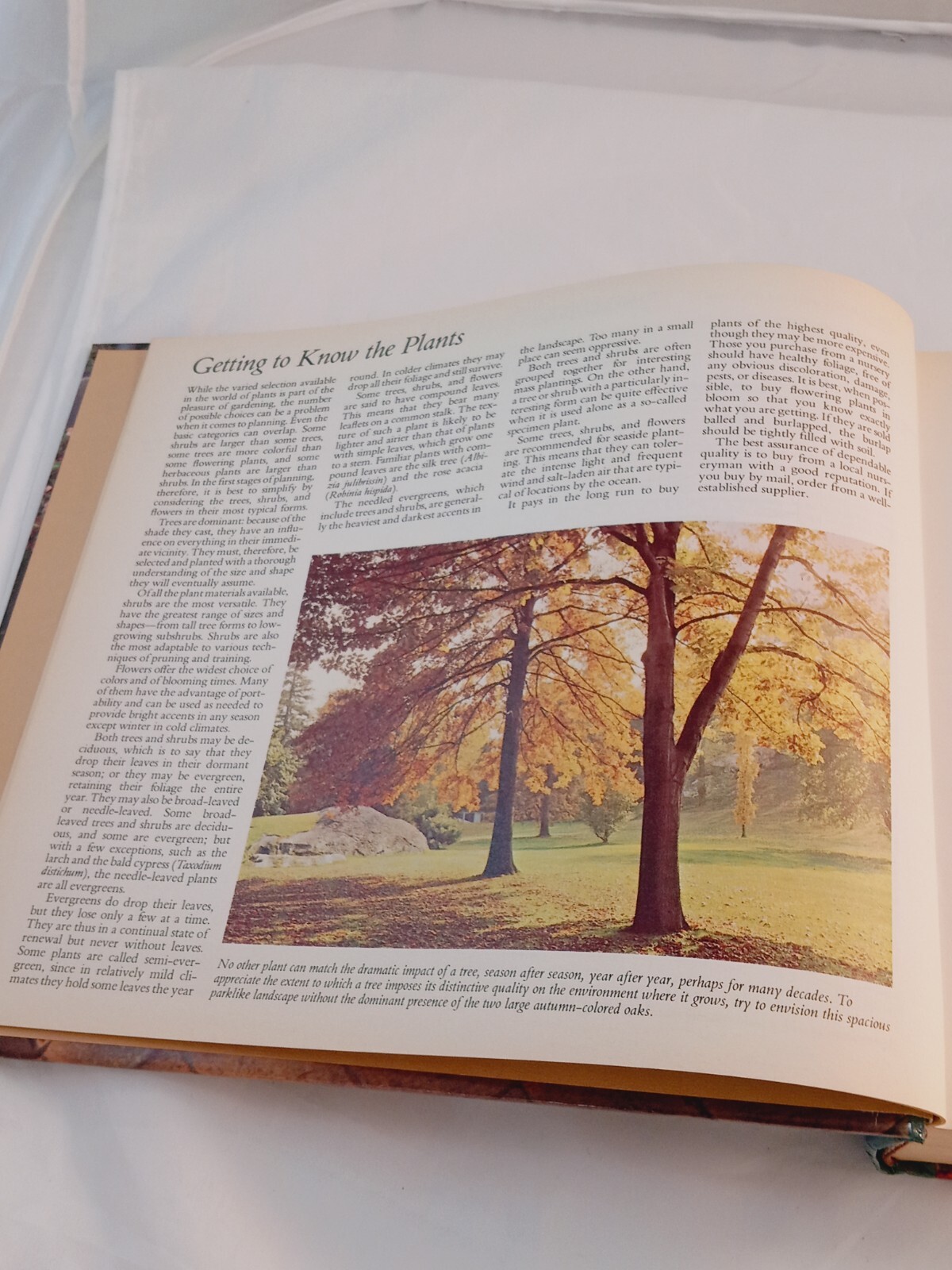 Vintage 1978 Reader&rsquo;s Digest Illustrated Guide to Gardening Hardcover; 672 pages
