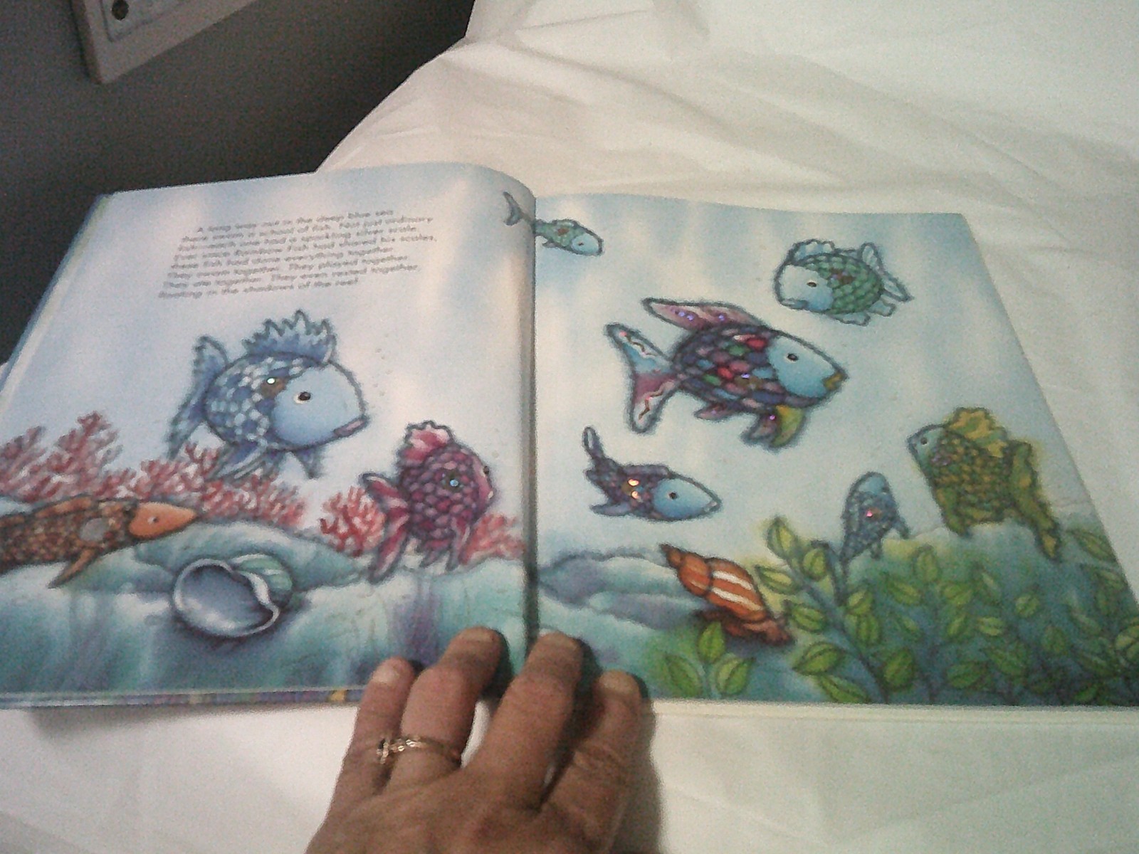 Rainbow Fish To The Rescue Storybook