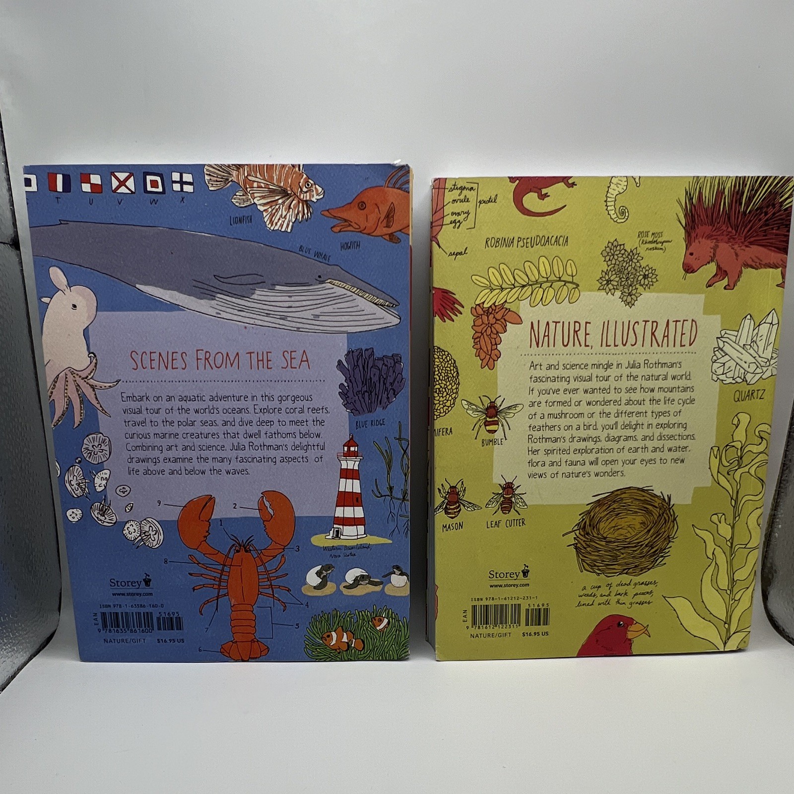 Julia Rothman Anatomy Set: Farm Nature Food Ocean Paperback Homeschool Homestead