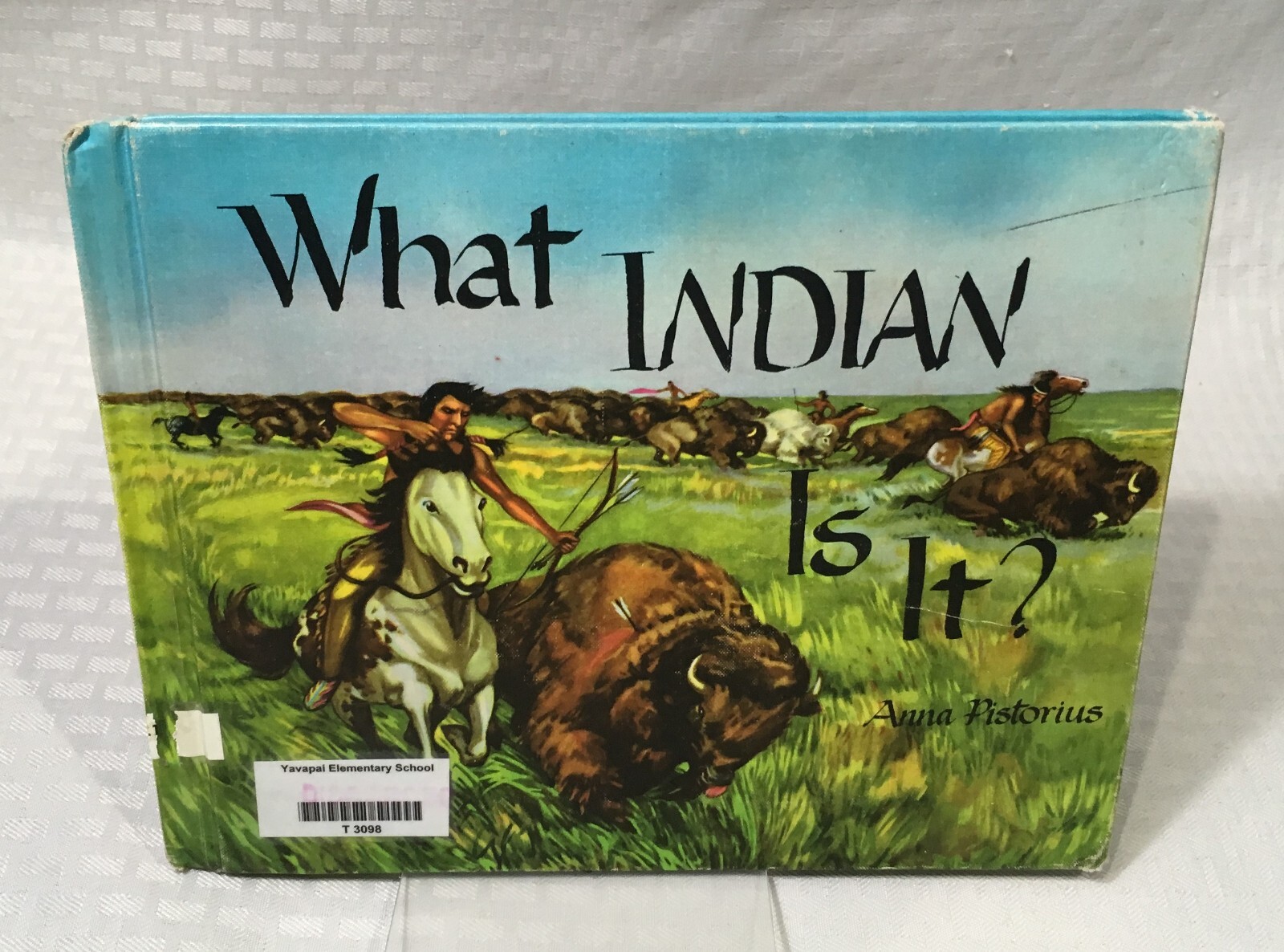 NATIVE AMERICAN BOOK LOT / 10 CHILDREN&rsquo;S PICTURE BOOK / HC / MULTIPLE TITLES
