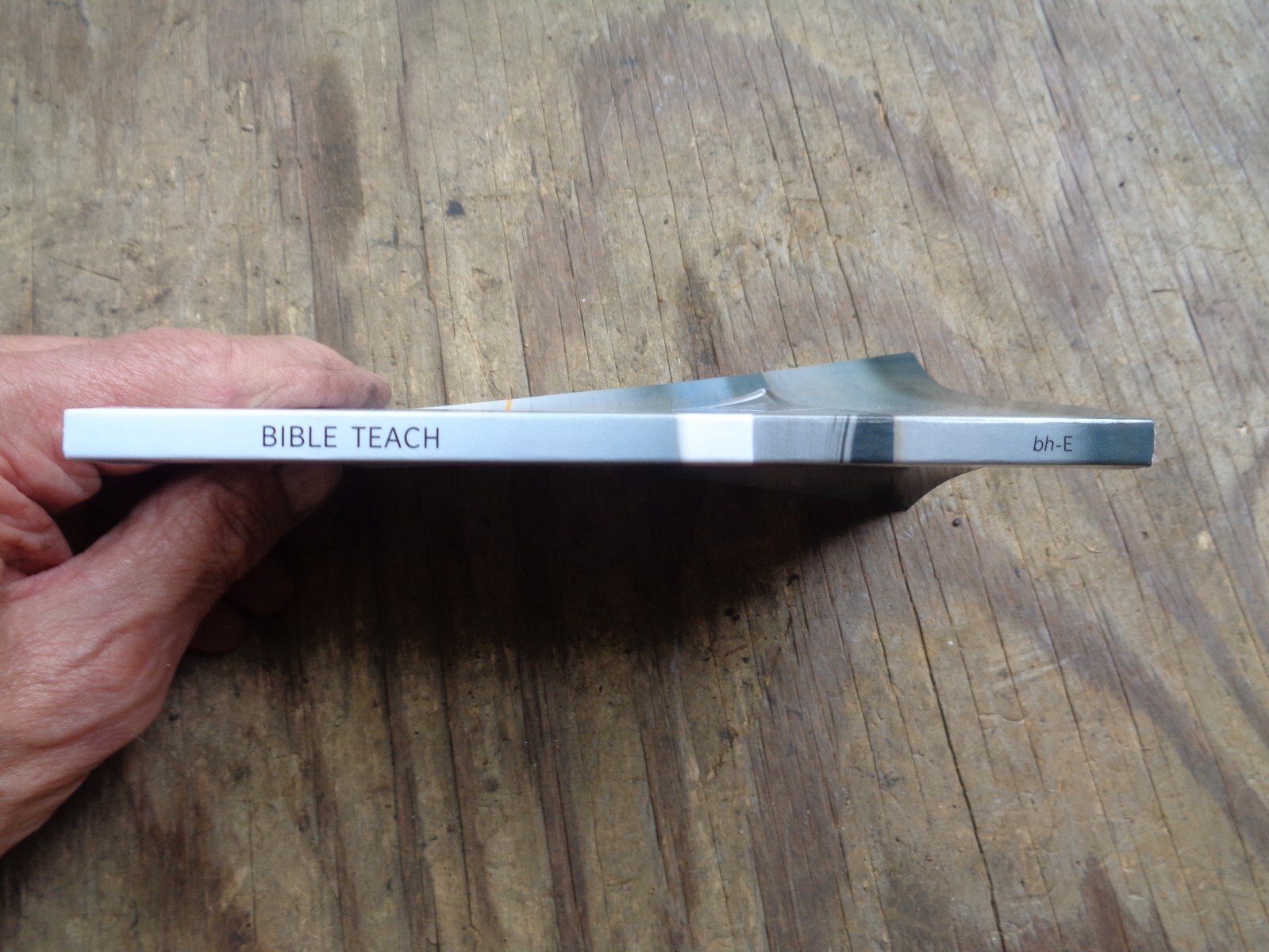 « WHAT DOES THE BIBLE REALLY TEACH? ». 2016. 223 pages. Paperback. Watchtower