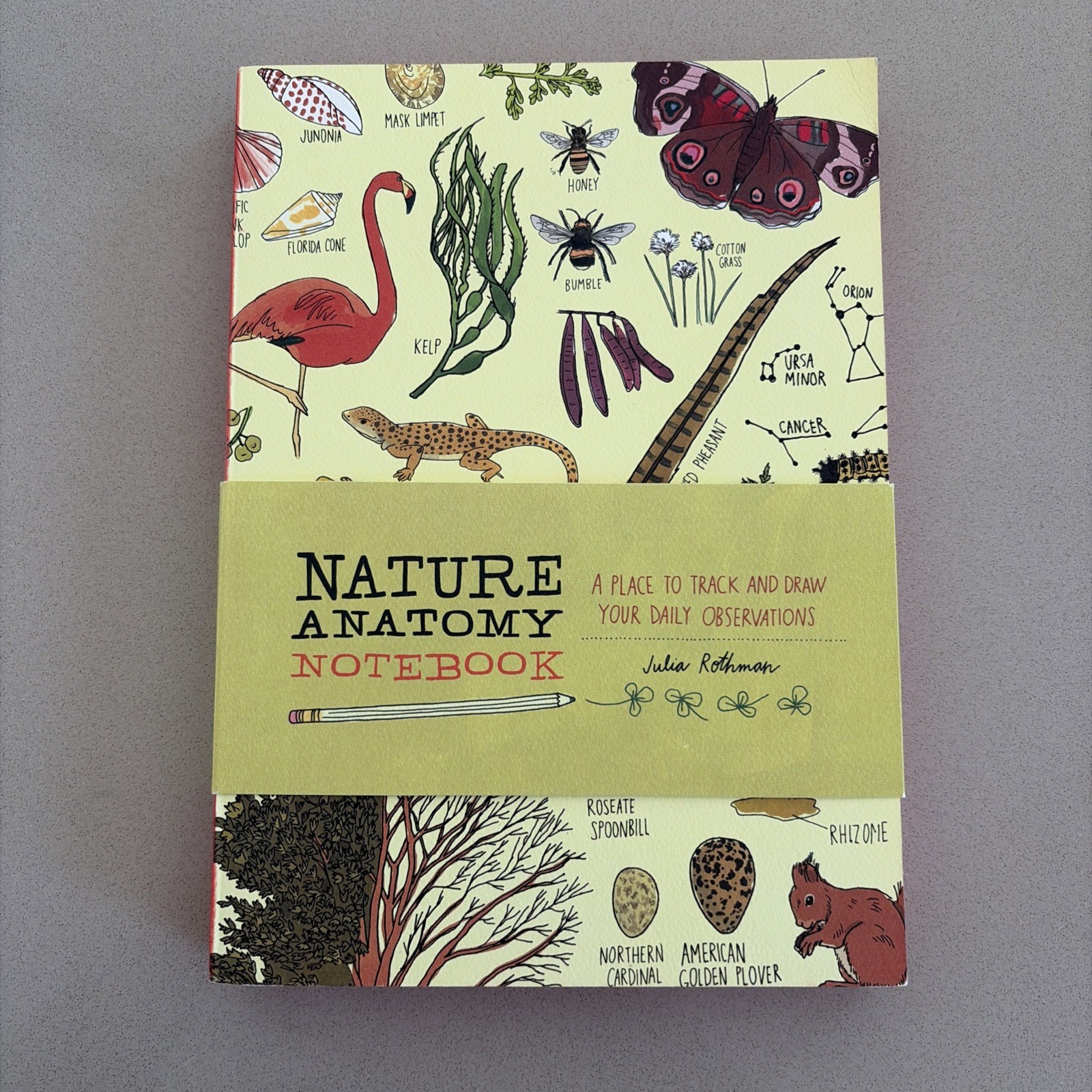Nature Anatomy Notebook : by Julia Rothman (2019, Paperback)
