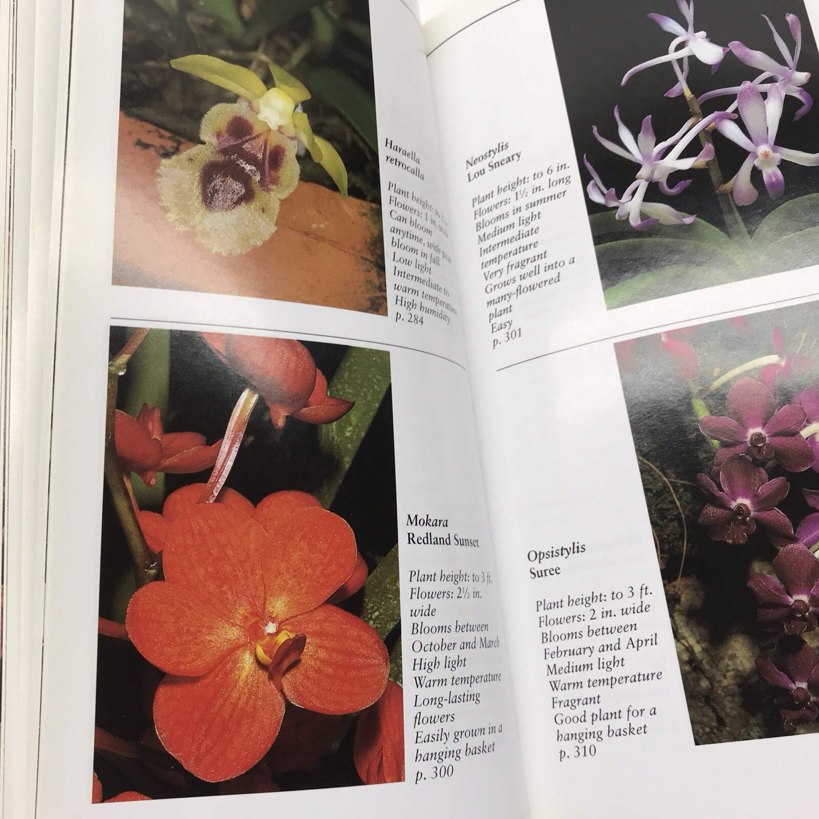 Taylor&rsquo;s Guide to Orchids~1996~Judy White~Ex Library