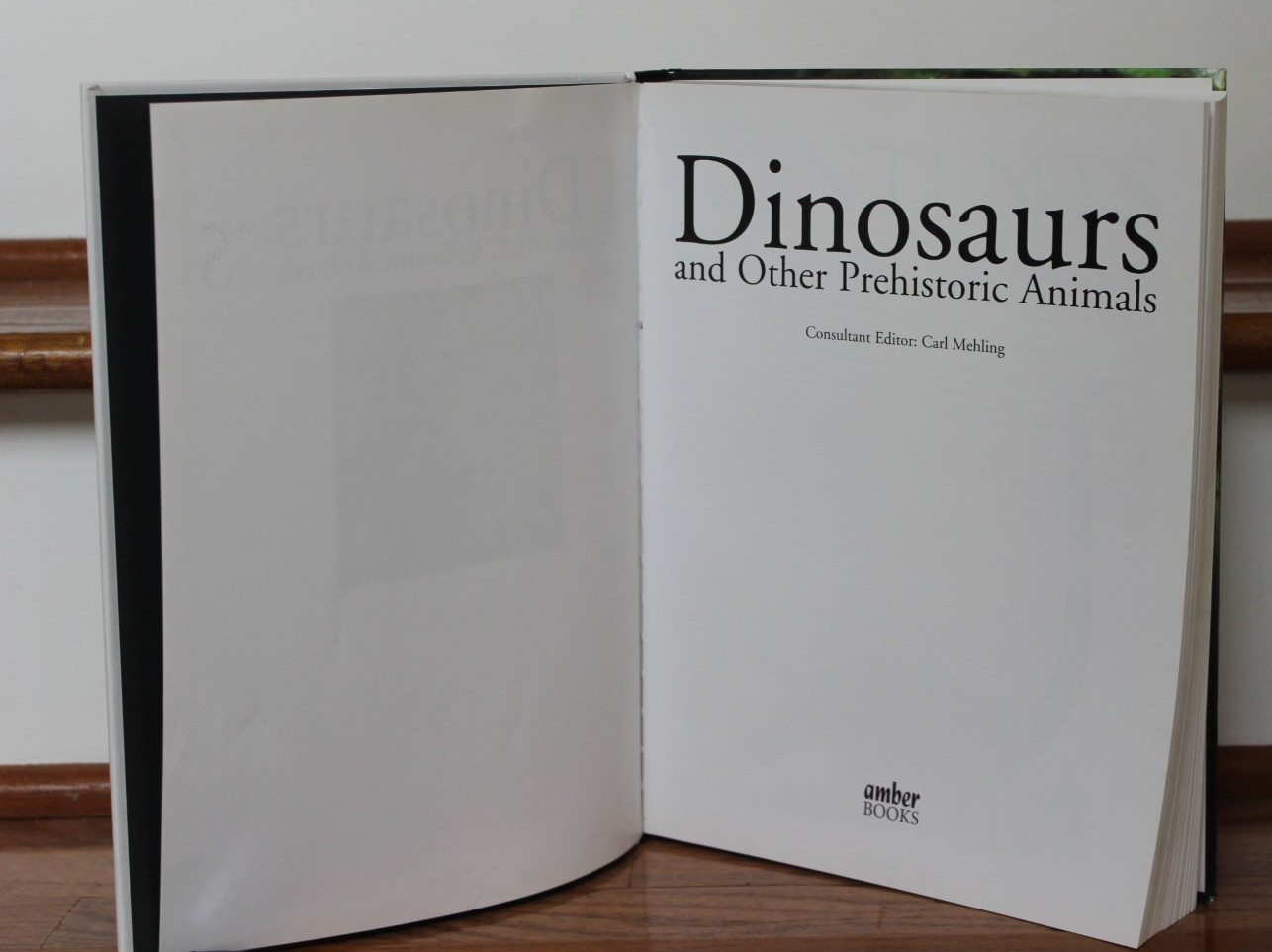 Dinosaurs & Other Prehistoric Animals Book 448 Pages, Amber Books – VGUC
