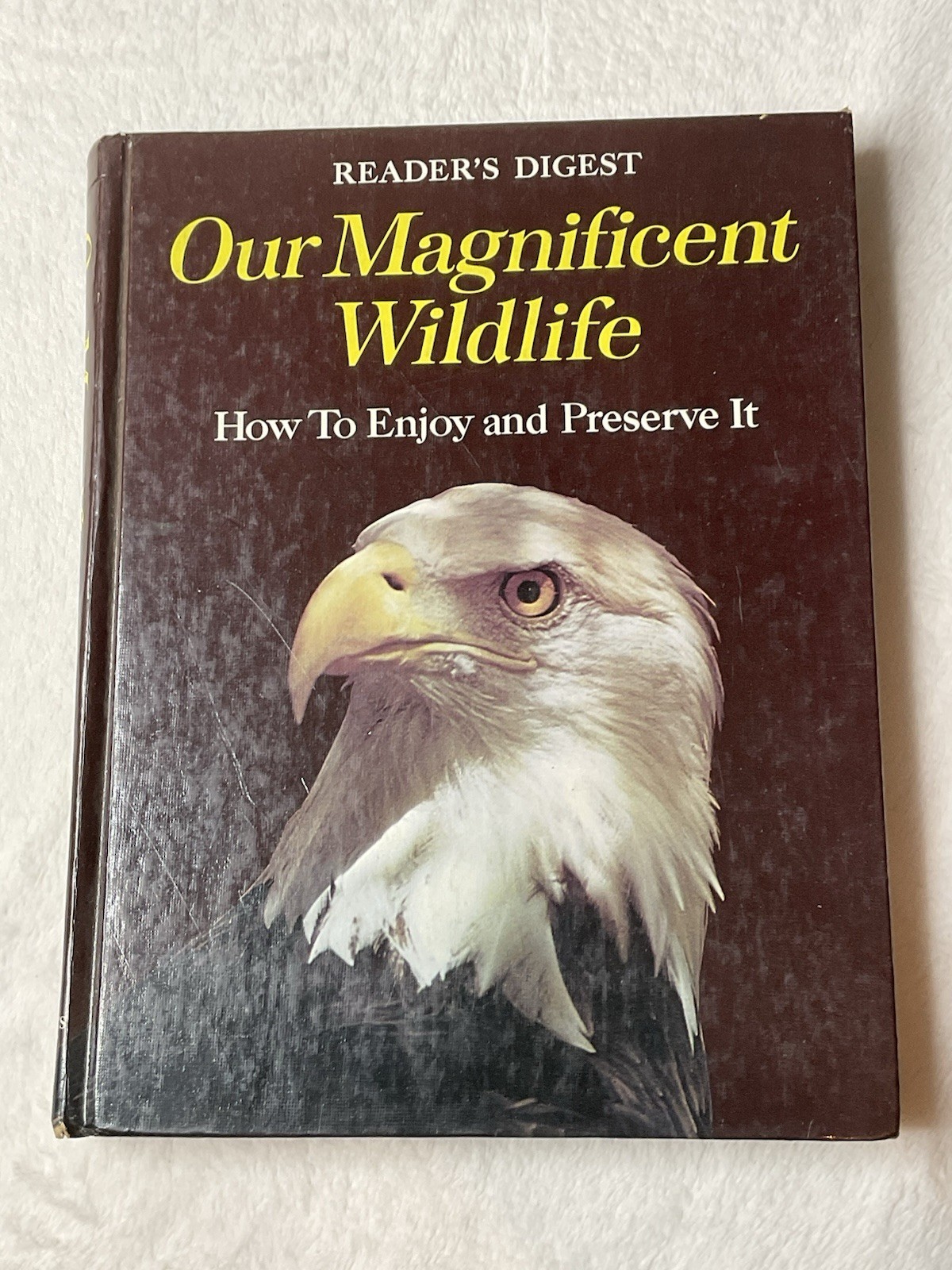 1975 Hardback -Reader&rsquo;s Digest Our Magnificent Wildlife-Photos & Illustrations-