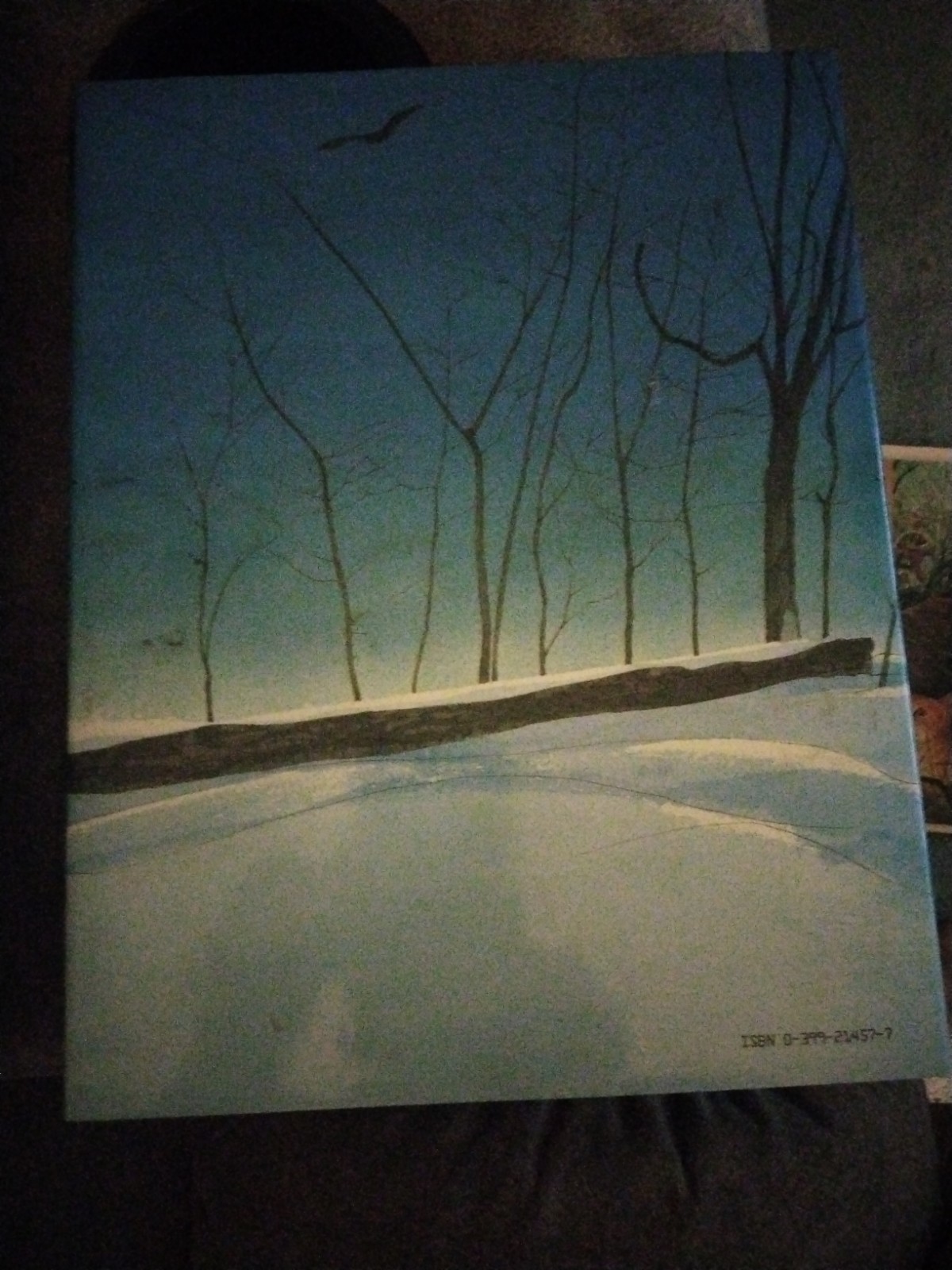 OWL MOON by Jane Yolen (HC/BJ) 1988 Caldecott Medal