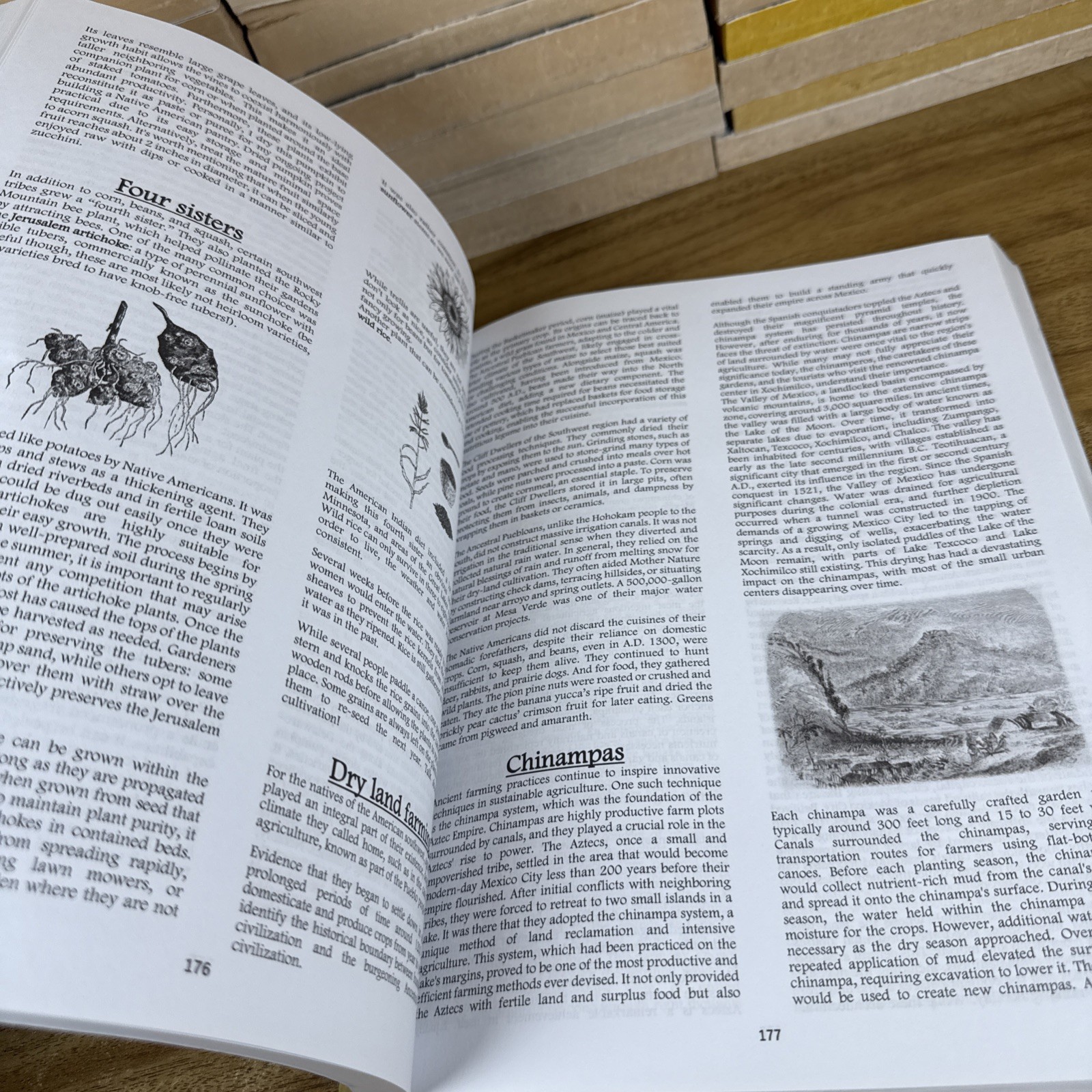 THE NATIVE AMERICAN HERBALISTS BIBLE 7-IN-1 COMPANION TO HERBAL MEDICINE: THE ON
