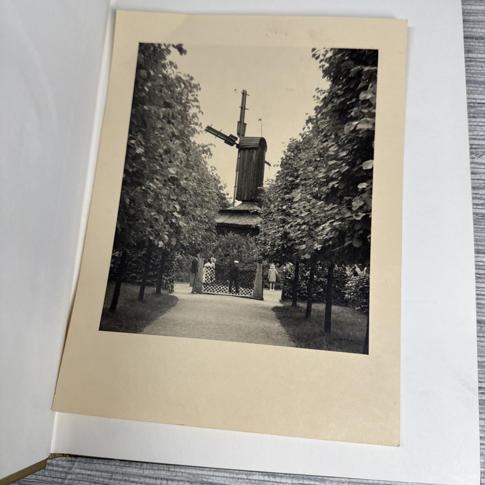 Irwin Iowa Centennial 1881-1981 Historical Book