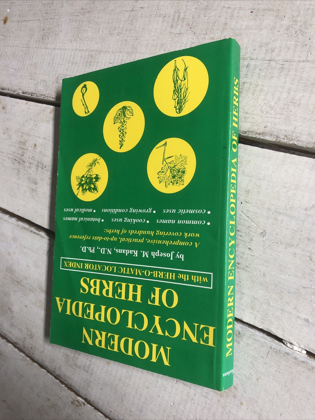 Modern Encyclopedia of Herbs | Deni Bown | Paperback | Herbal Guide
