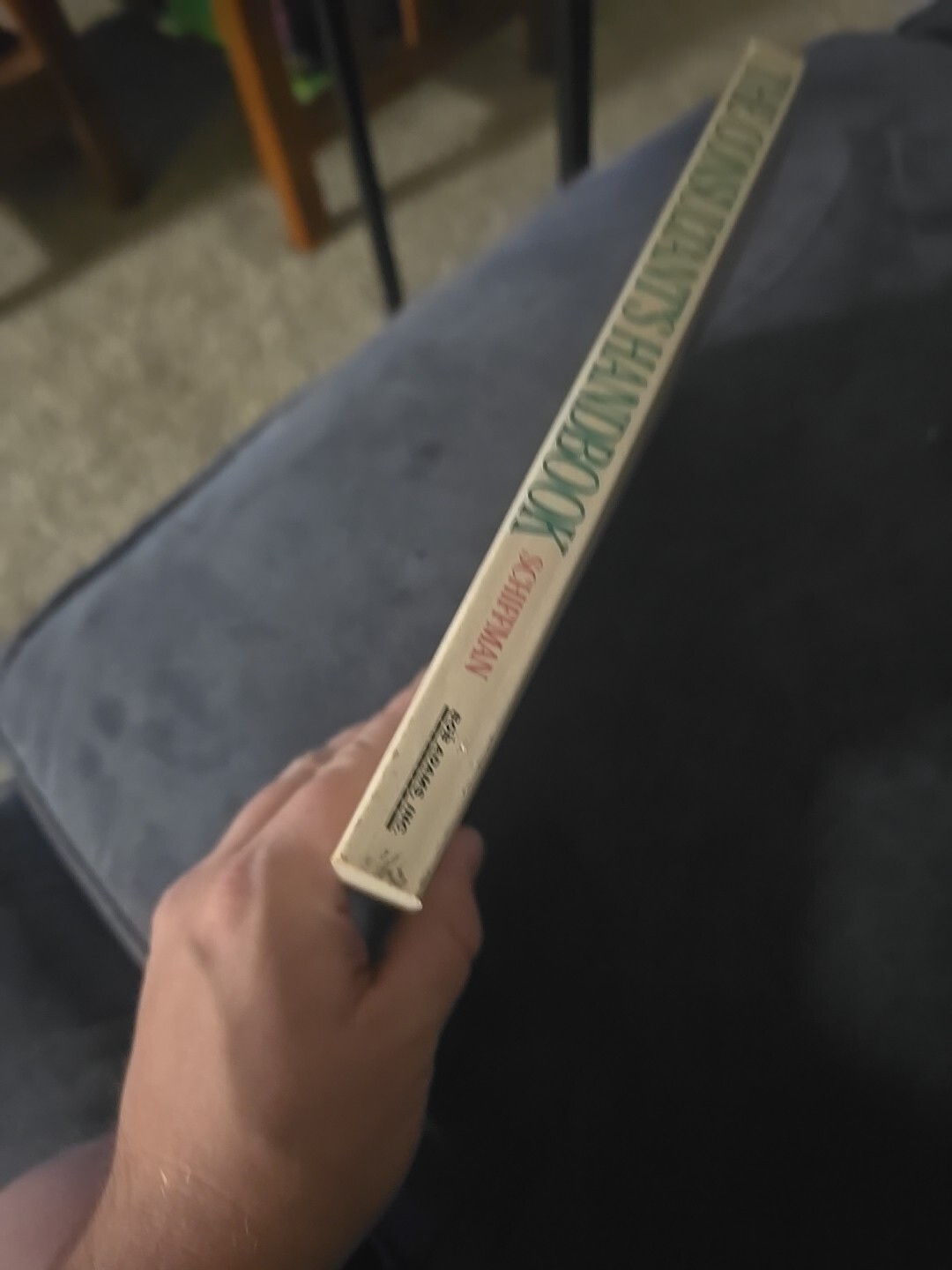 Consultant&rsquo;s Handbook : How to Start and Develop Your Own Practice