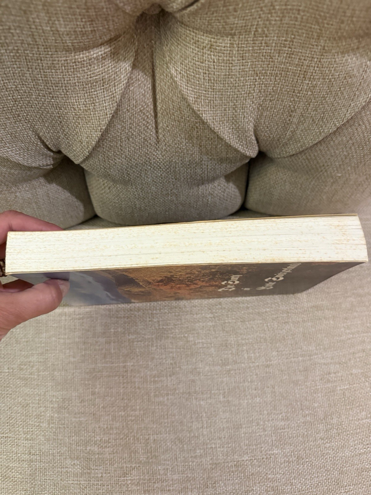 The Story Of Little Switzerland by Louisa DeSaussure Duls 1982