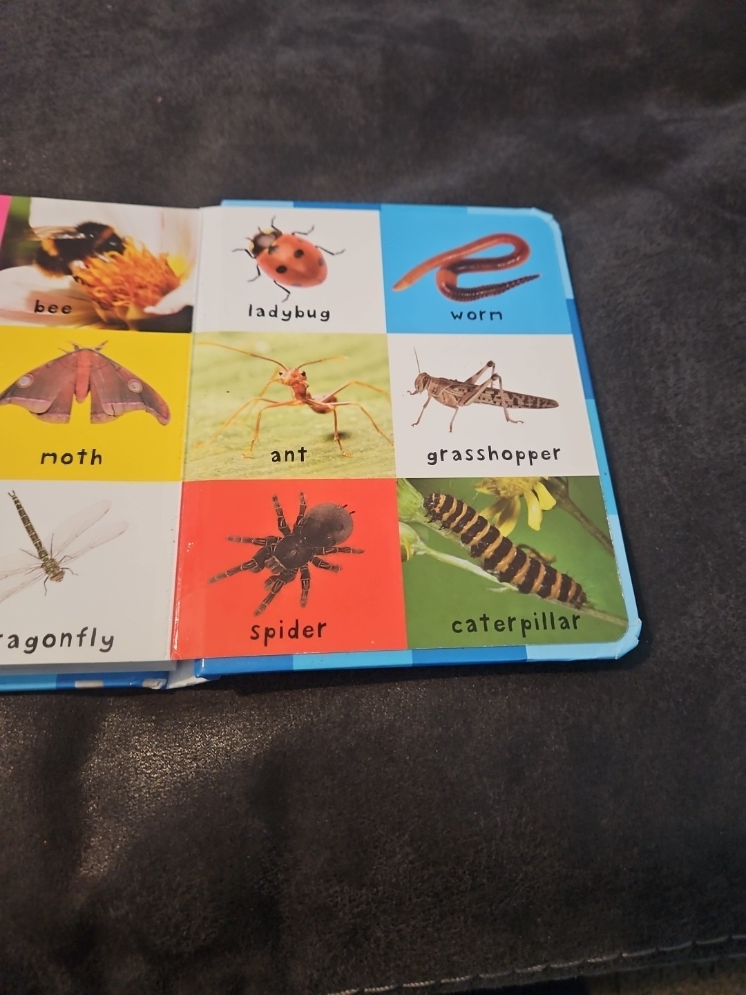 2011, « First 100 Animals » by Roger Priddy Children&rsquo;s Board Book