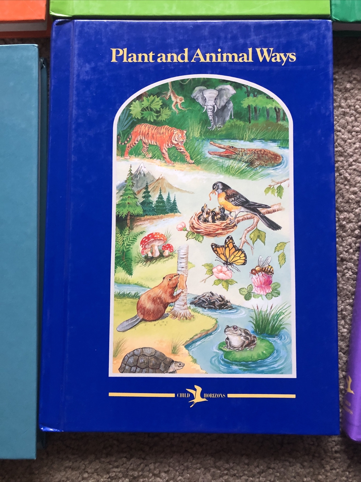 Lot of 10 Child Horizons Vintage Hardcover Books 2001 Complete Set HOMESCHOOL