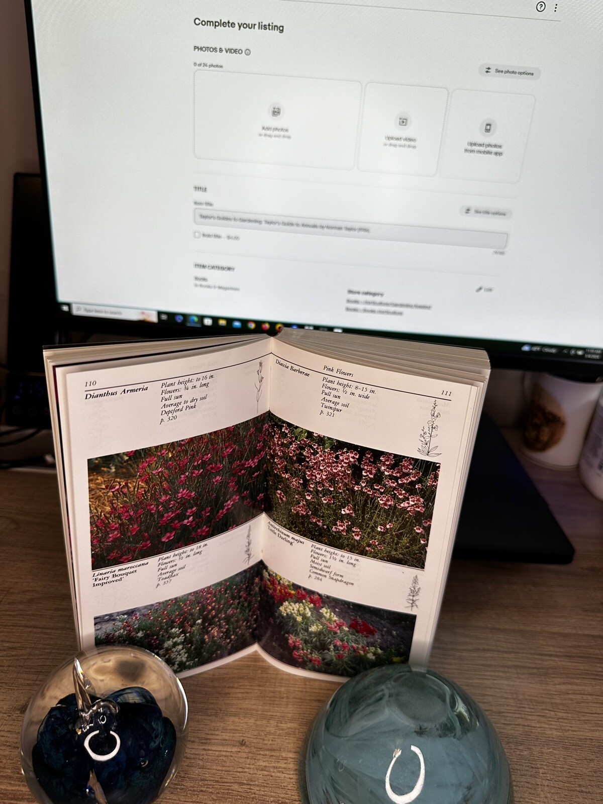 Taylor&rsquo;s Guides to Gardening: Taylor&rsquo;s Guide to Annuals by Norman Taylor (1986,