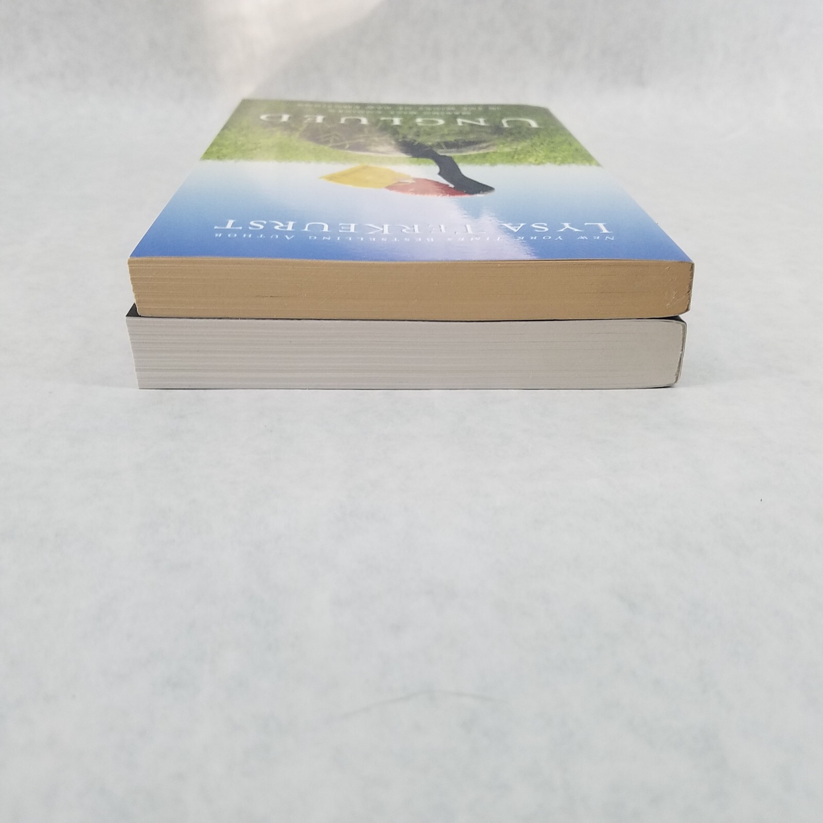Lysa TerKeurst Lot of 2 Softcovers – Unglued & The Best Yes – LIKE NEW!