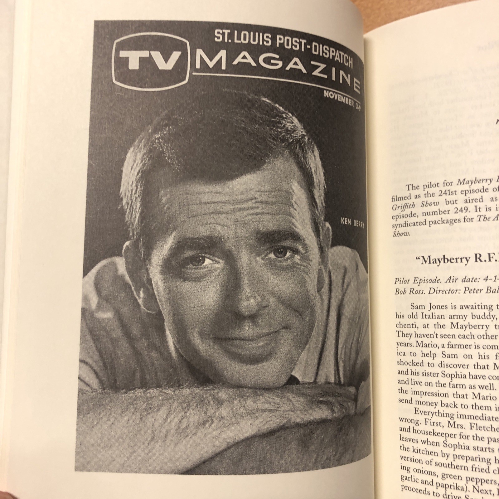 A Guide to Television&rsquo;s Mayberry R.F.D. by David Fernandes Dale Robinson HC