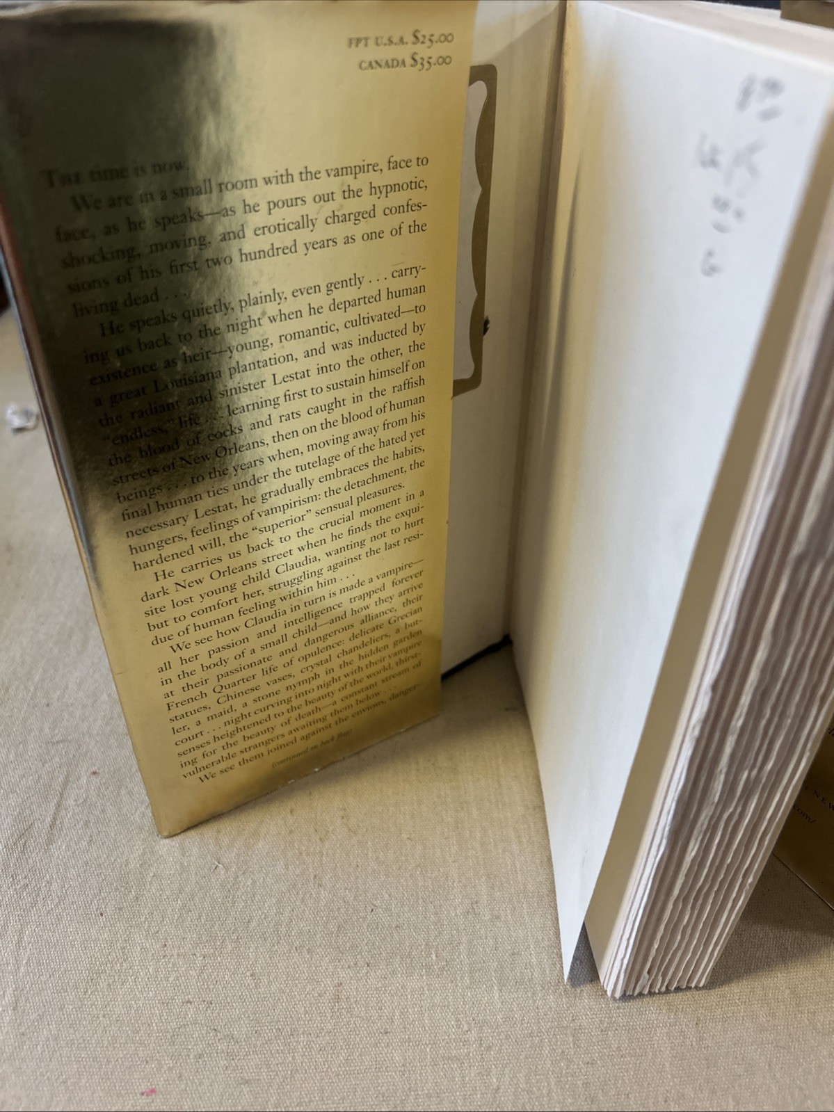 Interview with the Vampire – Anne Rice (Hardcover) First Edition/15th Printing