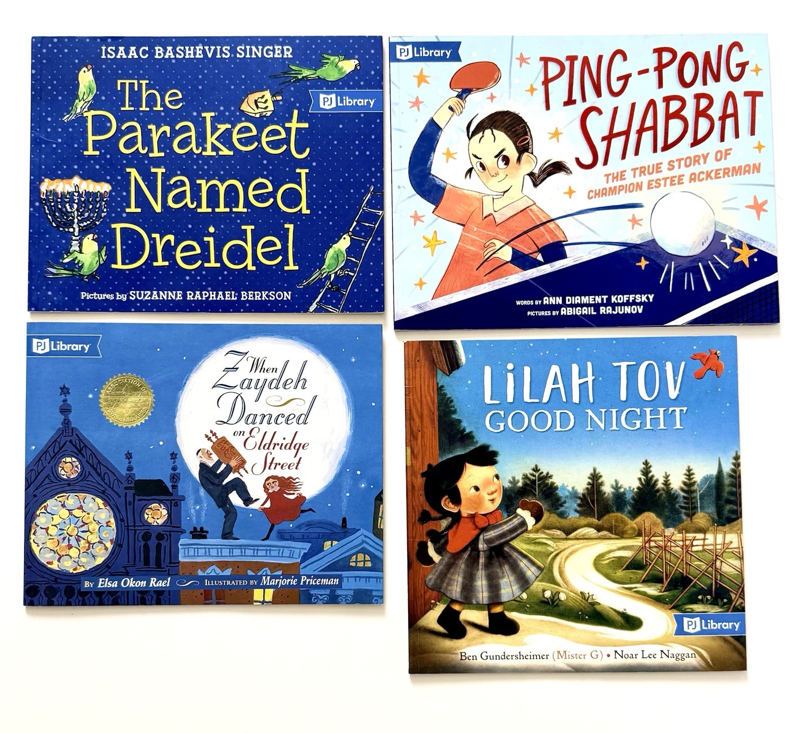 PJ Library – Lot of 16 Children&rsquo;s Books – Jewish Religious Passover Seder PB