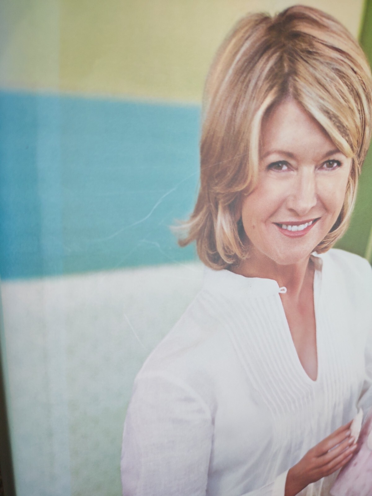 2009 First Edition Hardcover Book: Martha Stewart&rsquo;s Encyclopedia Of Crafts