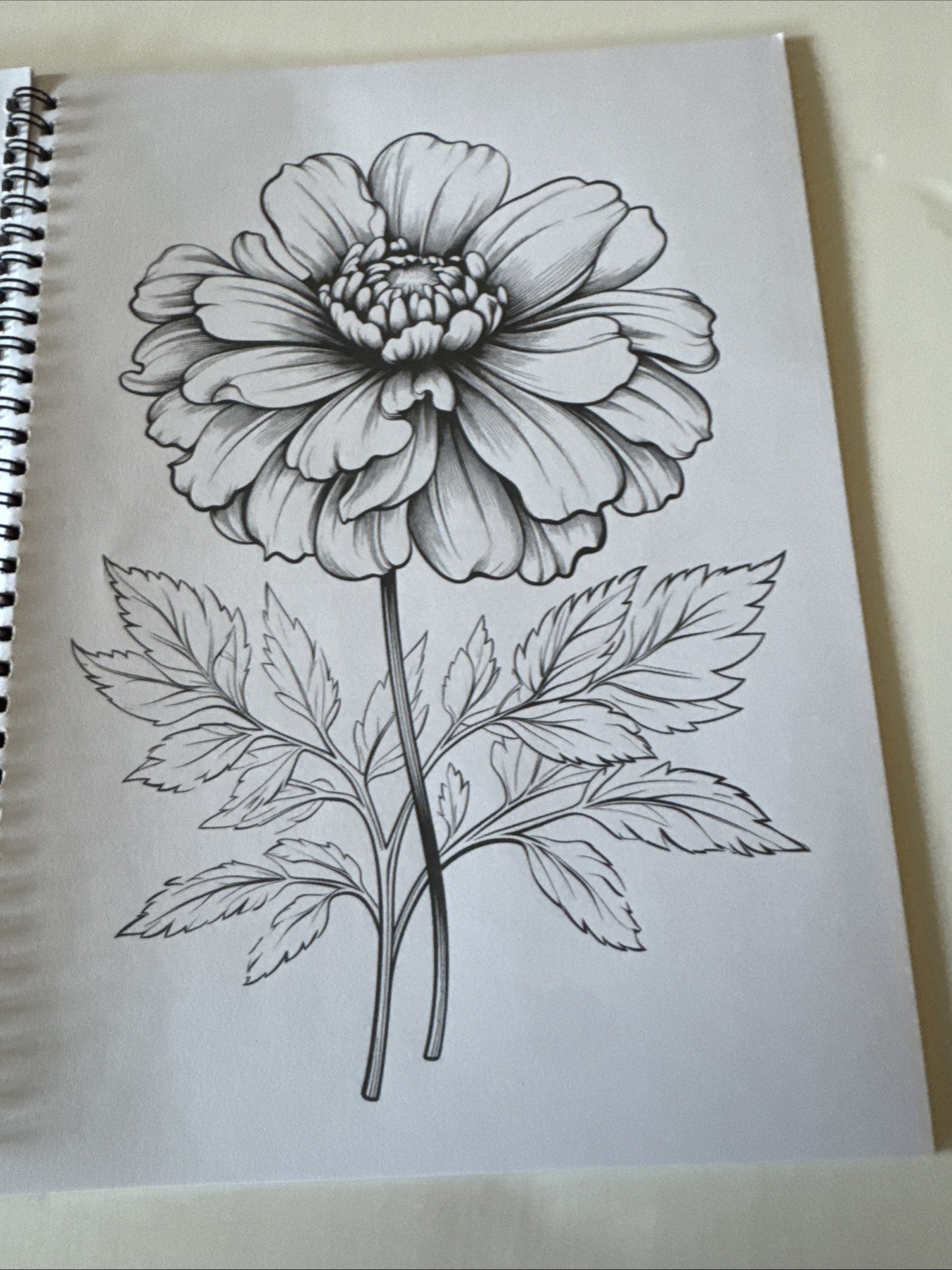 8 1/2 X 11 Spiral Adult Coloring Book Multicolored Flowers NEW Shipping Included