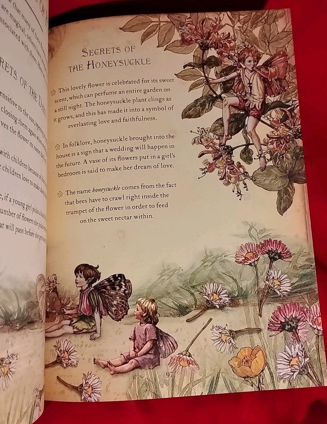 The Girls&rsquo; Book of Flower Fairies by Frederick Warne, 2008 New