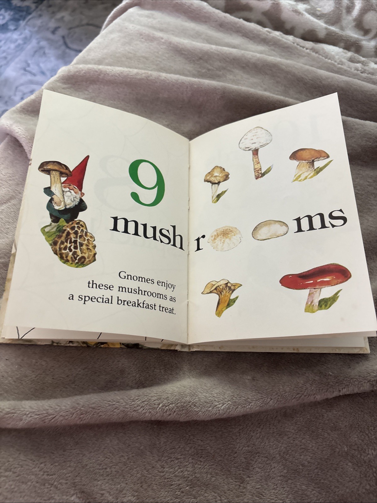 A Gnome Counting Book~By Will Huygen Illustrator Rien Poortvliet Harry Abrams VG