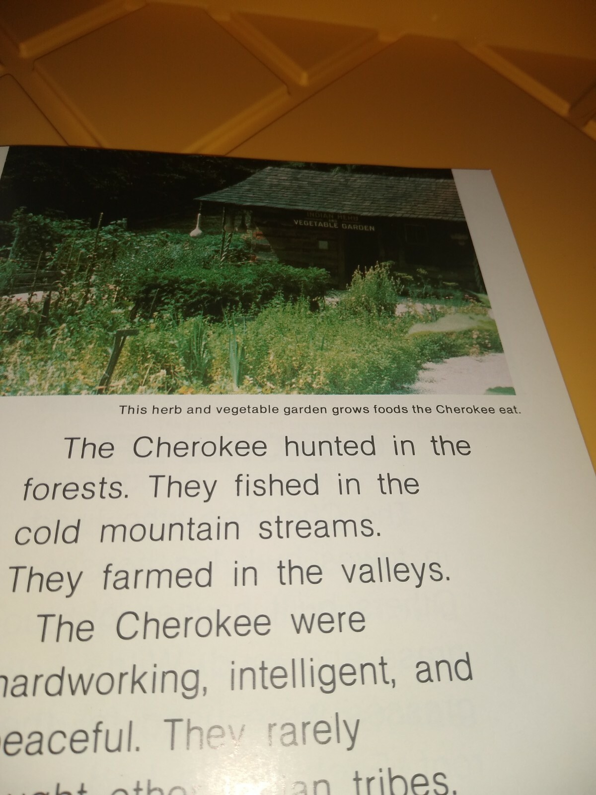 Very rare The Cherokee 1985 book children&rsquo;s book a new true book 47 pages