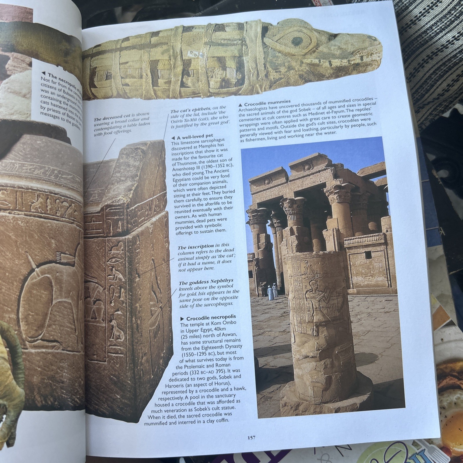 Encyclopedia of Ancient Egypt by Helen Strudwick (2016, Trade Paperback)