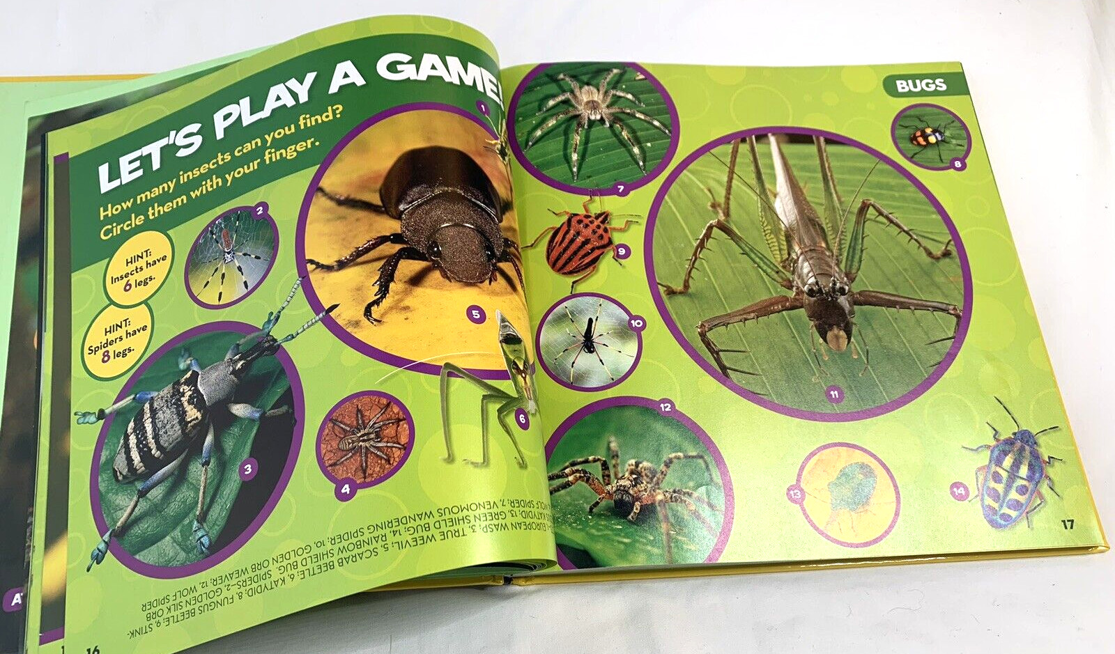 Big Book of Bugs From National Geographic by Catherine D. Hughes…