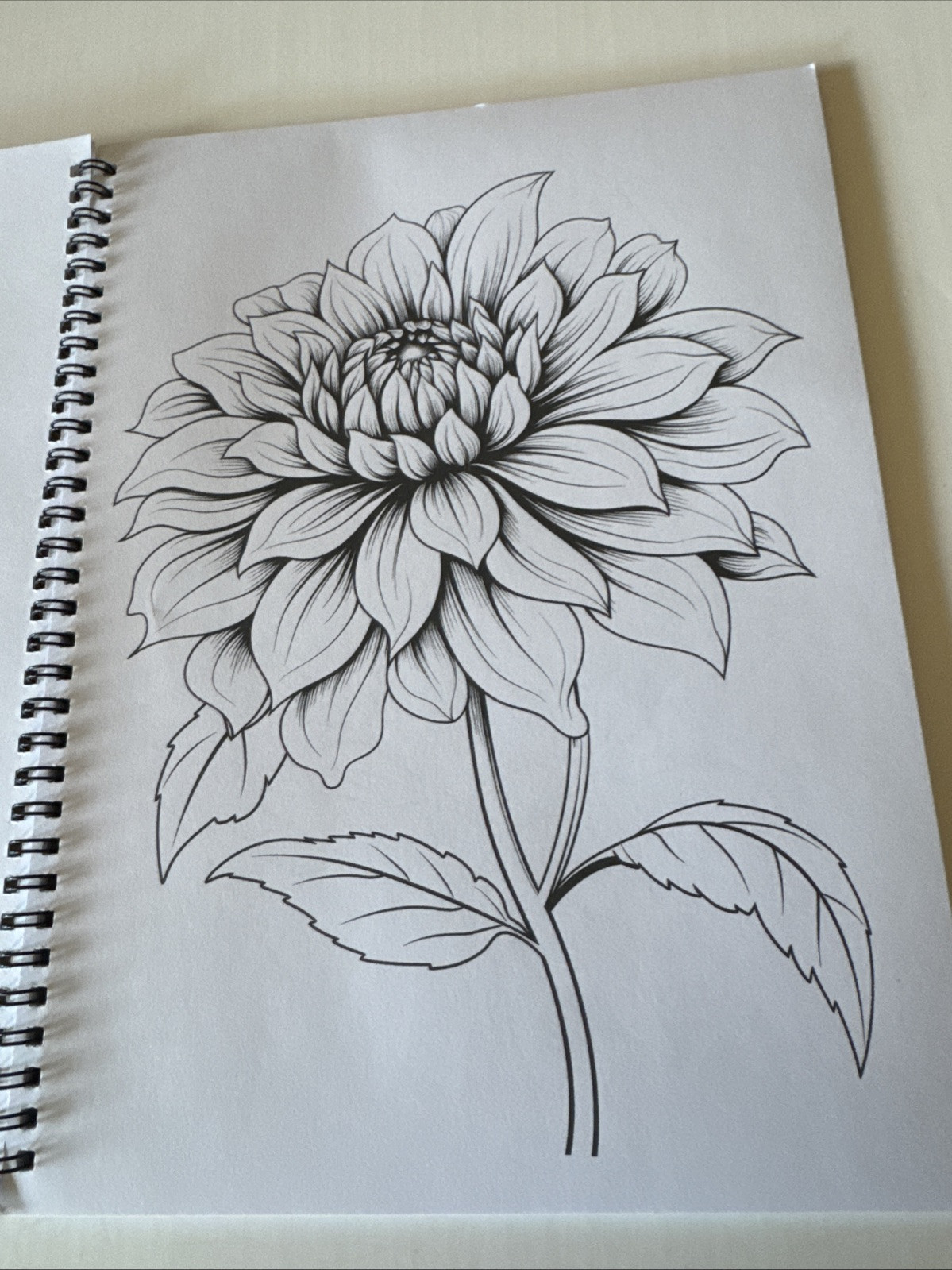 8 1/2 X 11 Spiral Adult Coloring Book Multicolored Flowers NEW Shipping Included