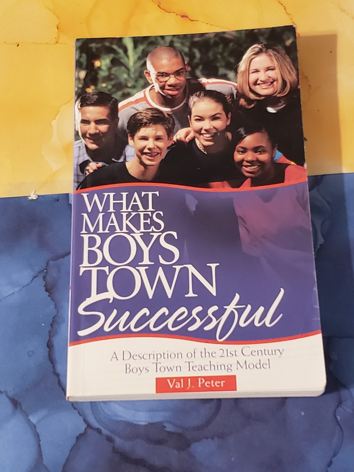 WHAT MAKES BOYS TOWN SUCCESSFUL, VAL J. PETER, PAPERBACK, 1999