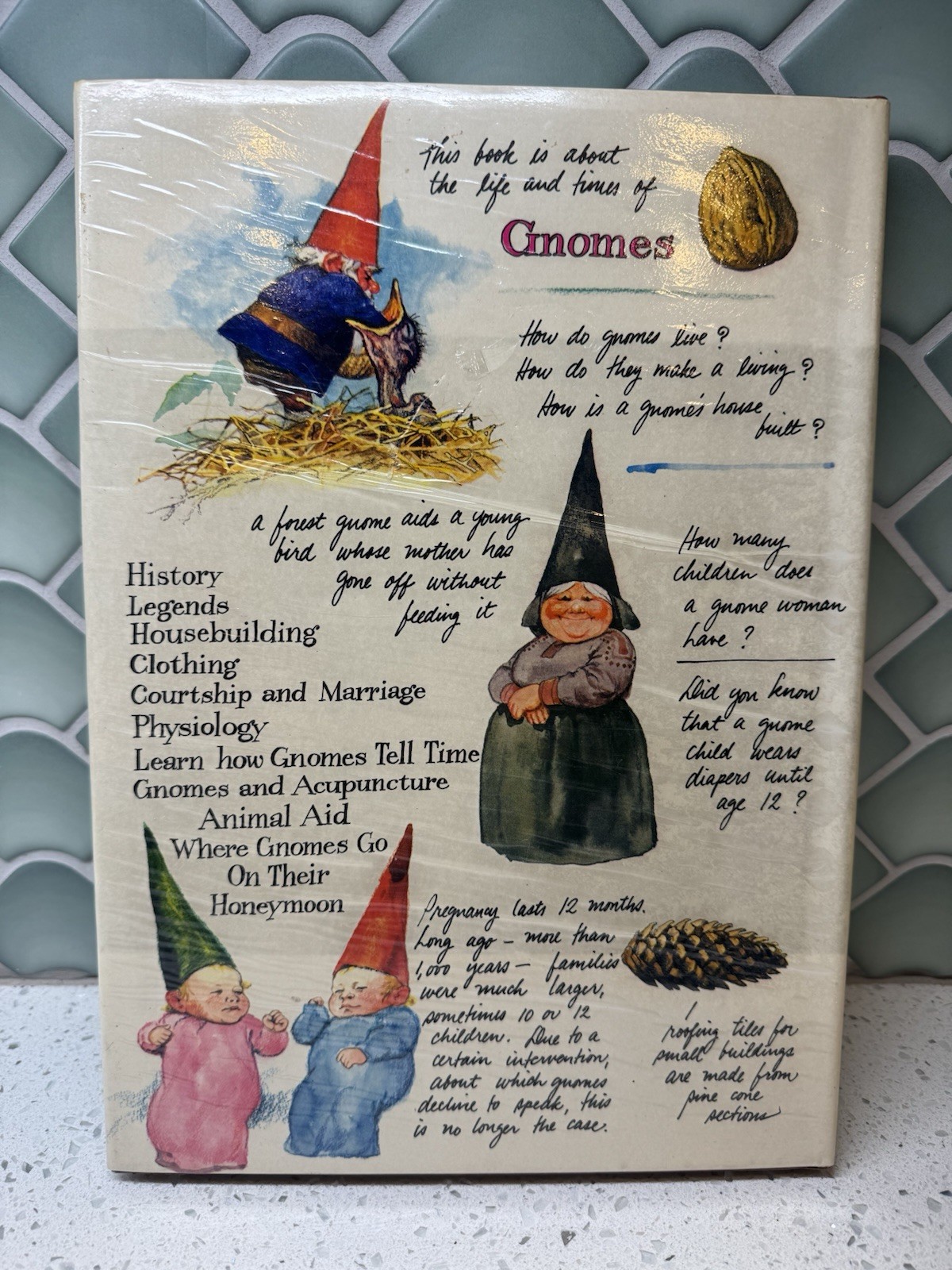 Gnomes Hardcover 1977 Huygen Poortvliet Whimsical Reference Fairycore Decor Book